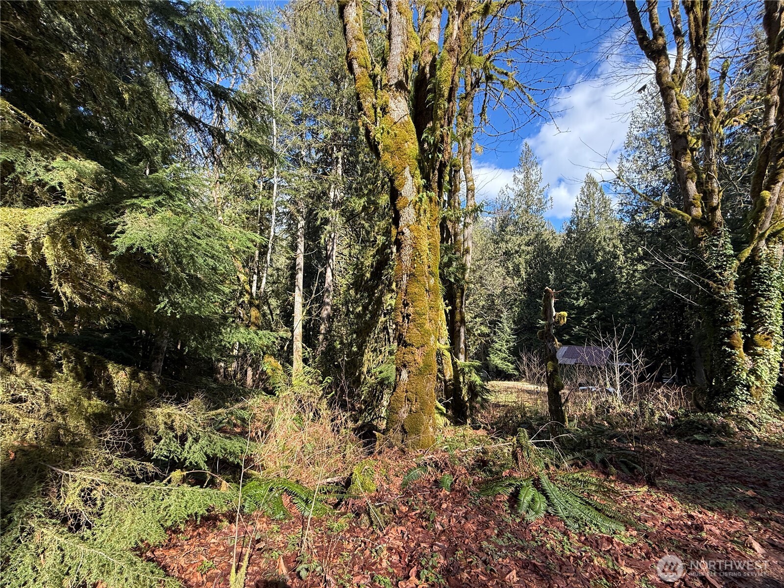0 High Ridge Drive Property Photo 3