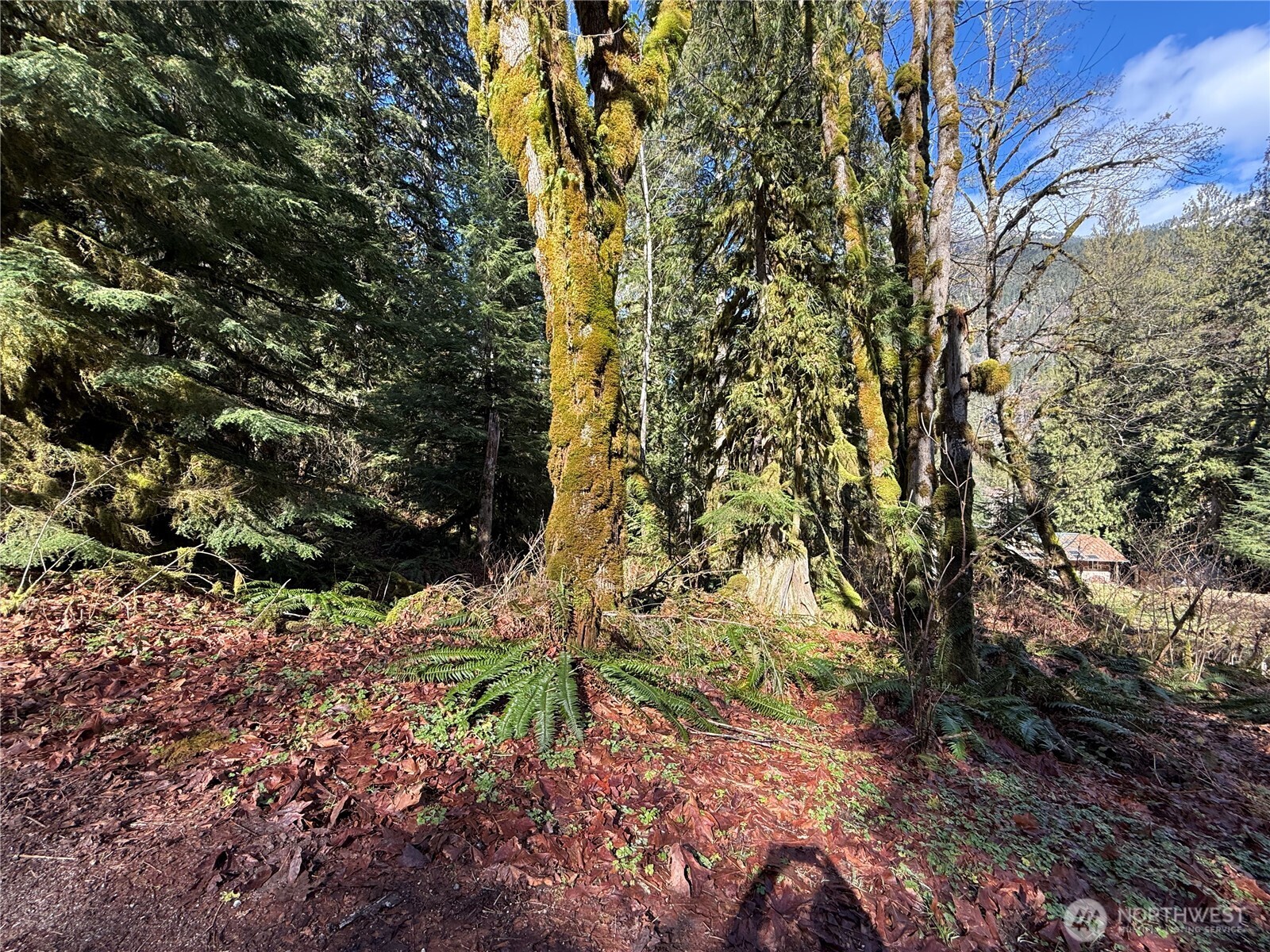 0 High Ridge Drive Property Photo 4
