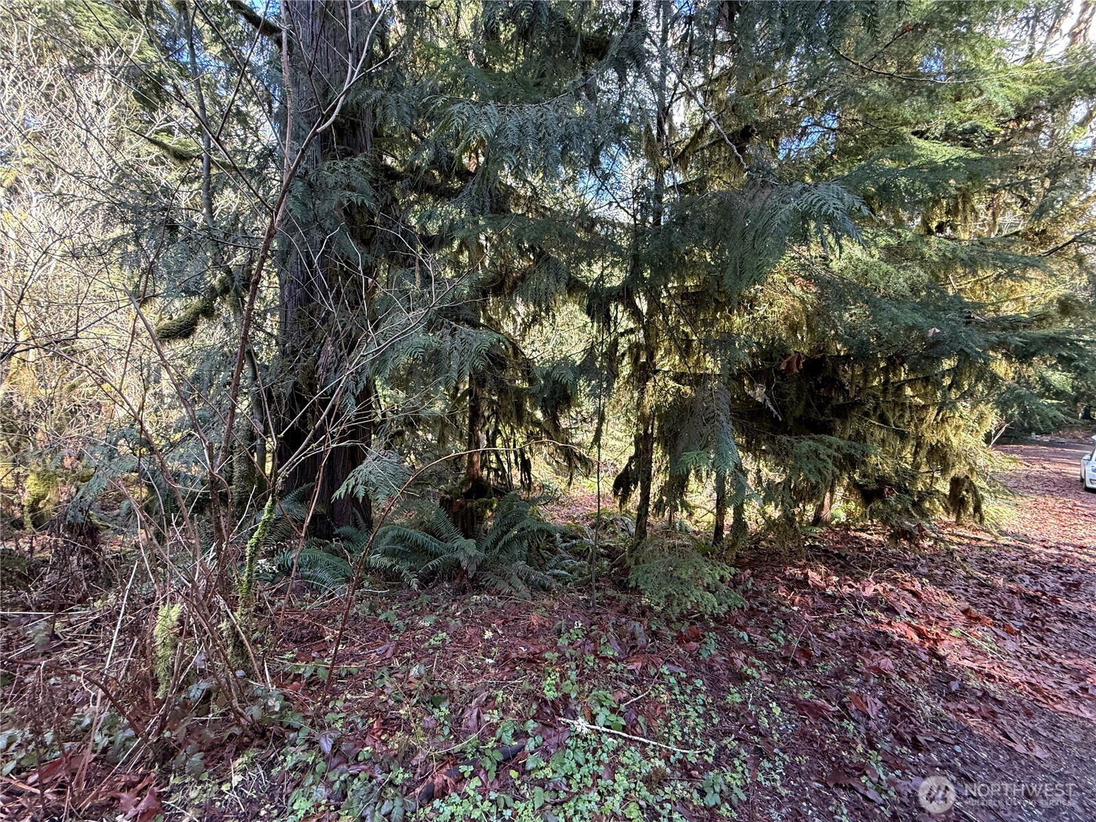 0 High Ridge Drive Property Photo 6