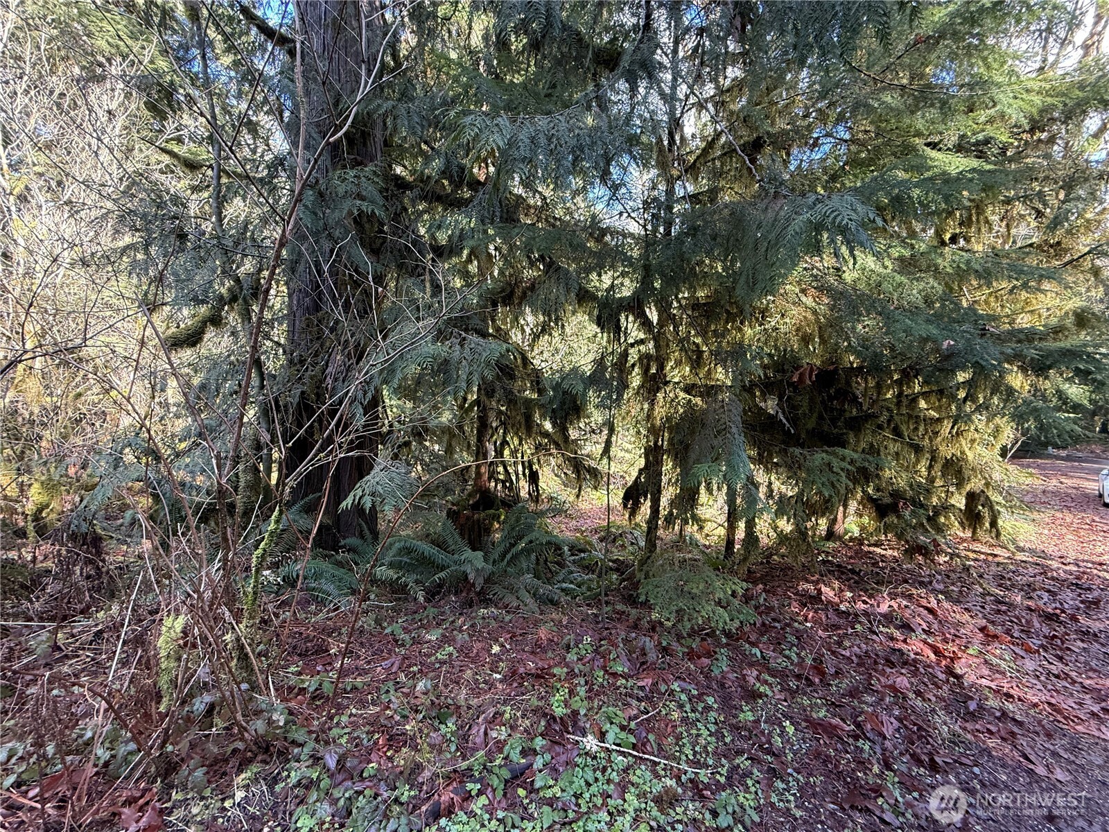 0 High Ridge Drive Property Photo 7