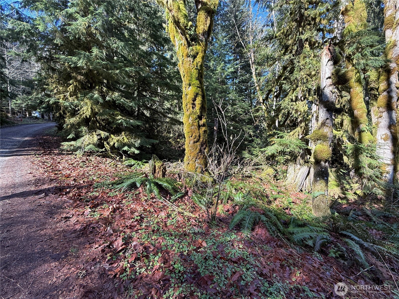 0 High Ridge Drive Property Photo 8