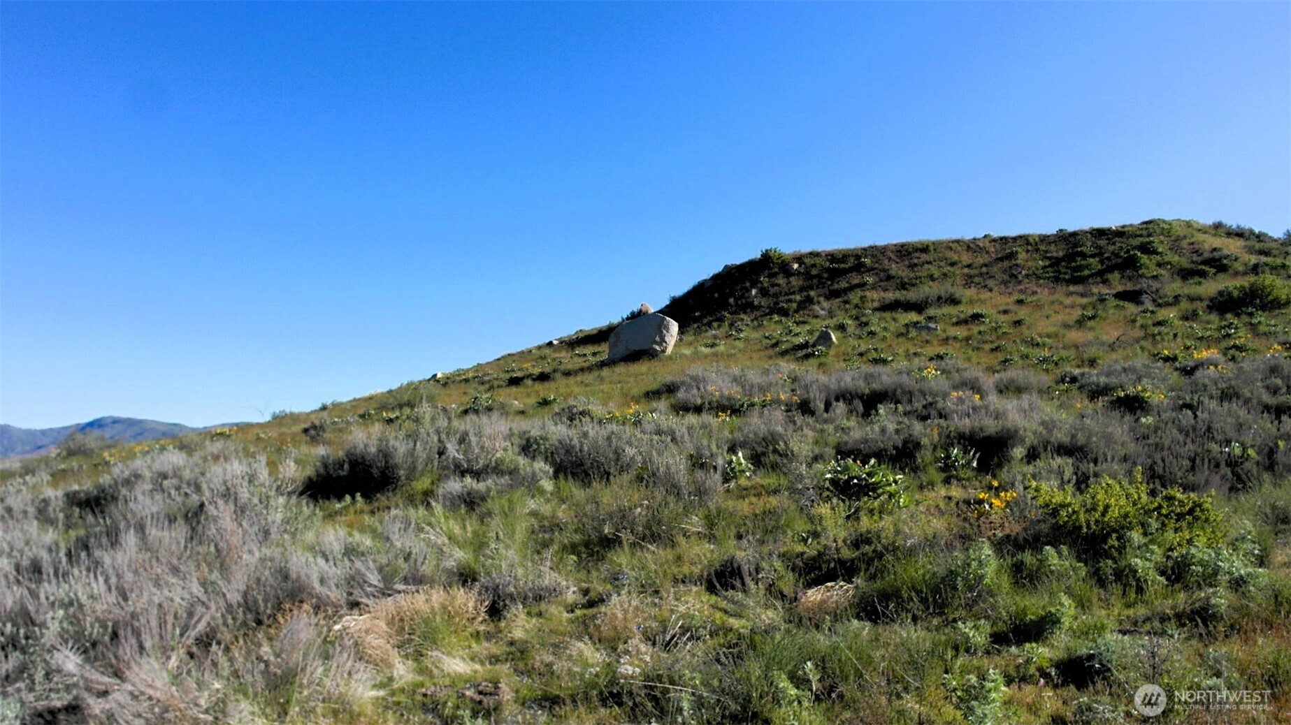 31 Cowboy Road Property Photo 13
