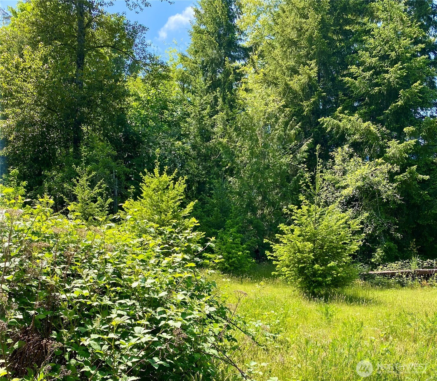 10328 41st Trail Property Photo 4