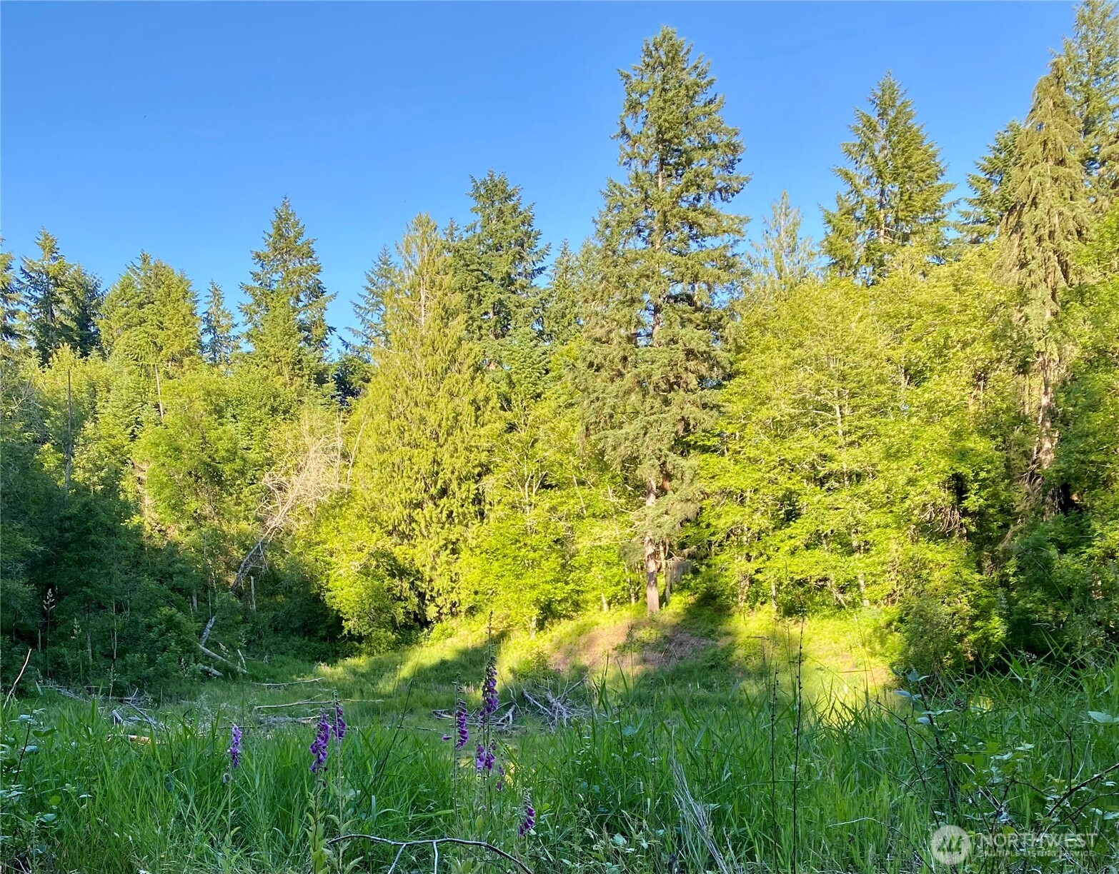 10328 41st Trail Property Photo 5