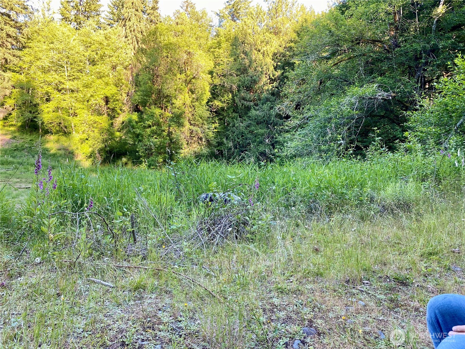 10328 41st Trail Property Photo 7
