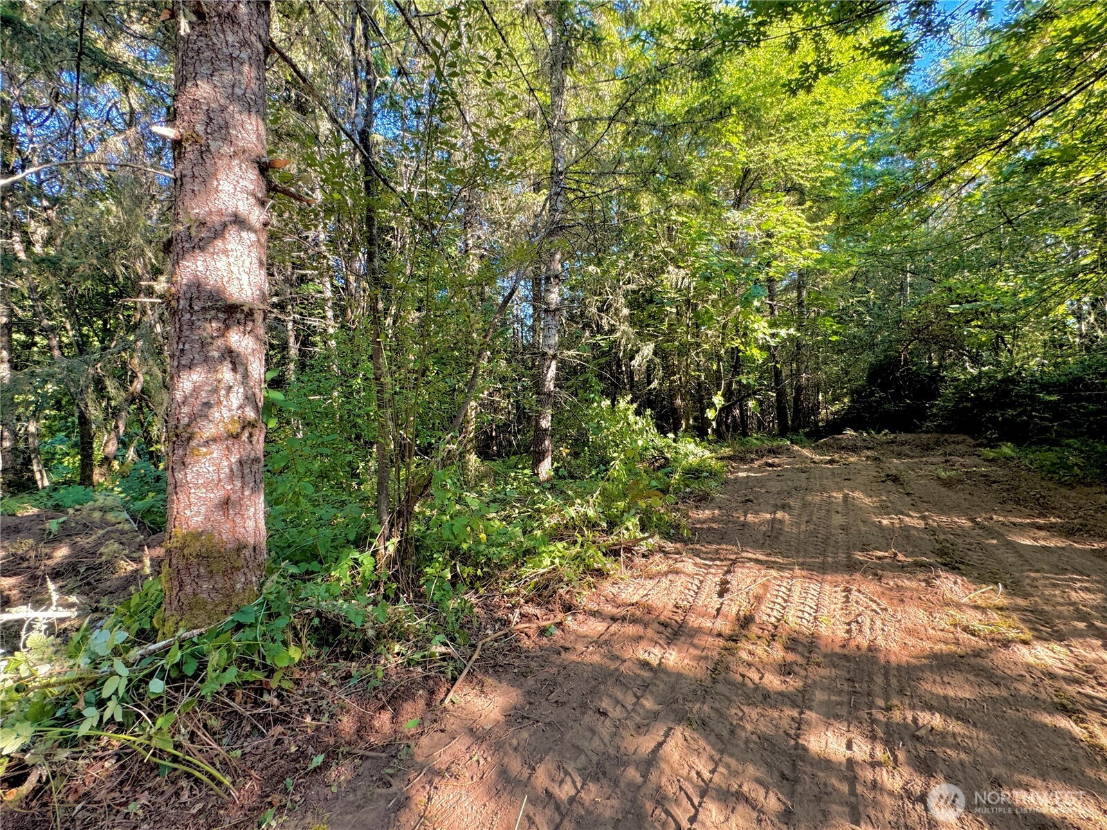 5563 Lackey Court Property Photo 12