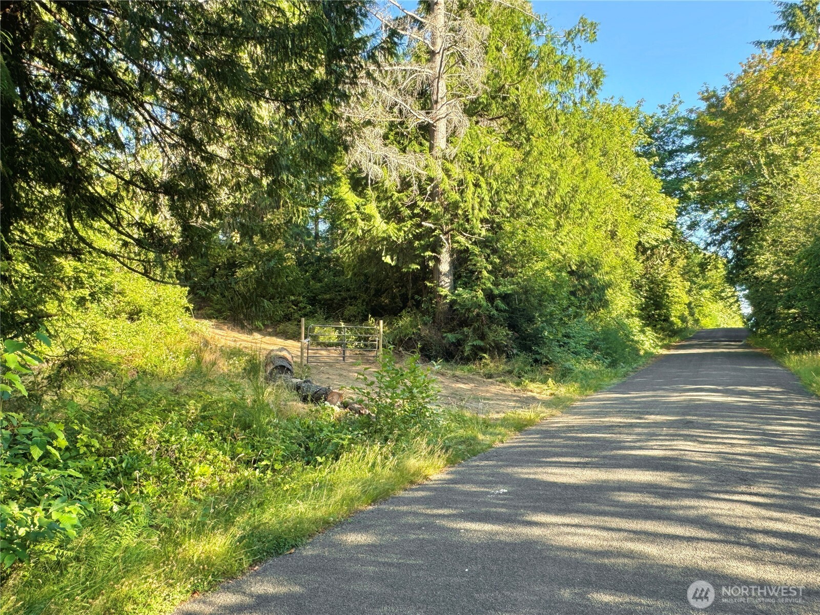 5563 Lackey Court Property Photo 15