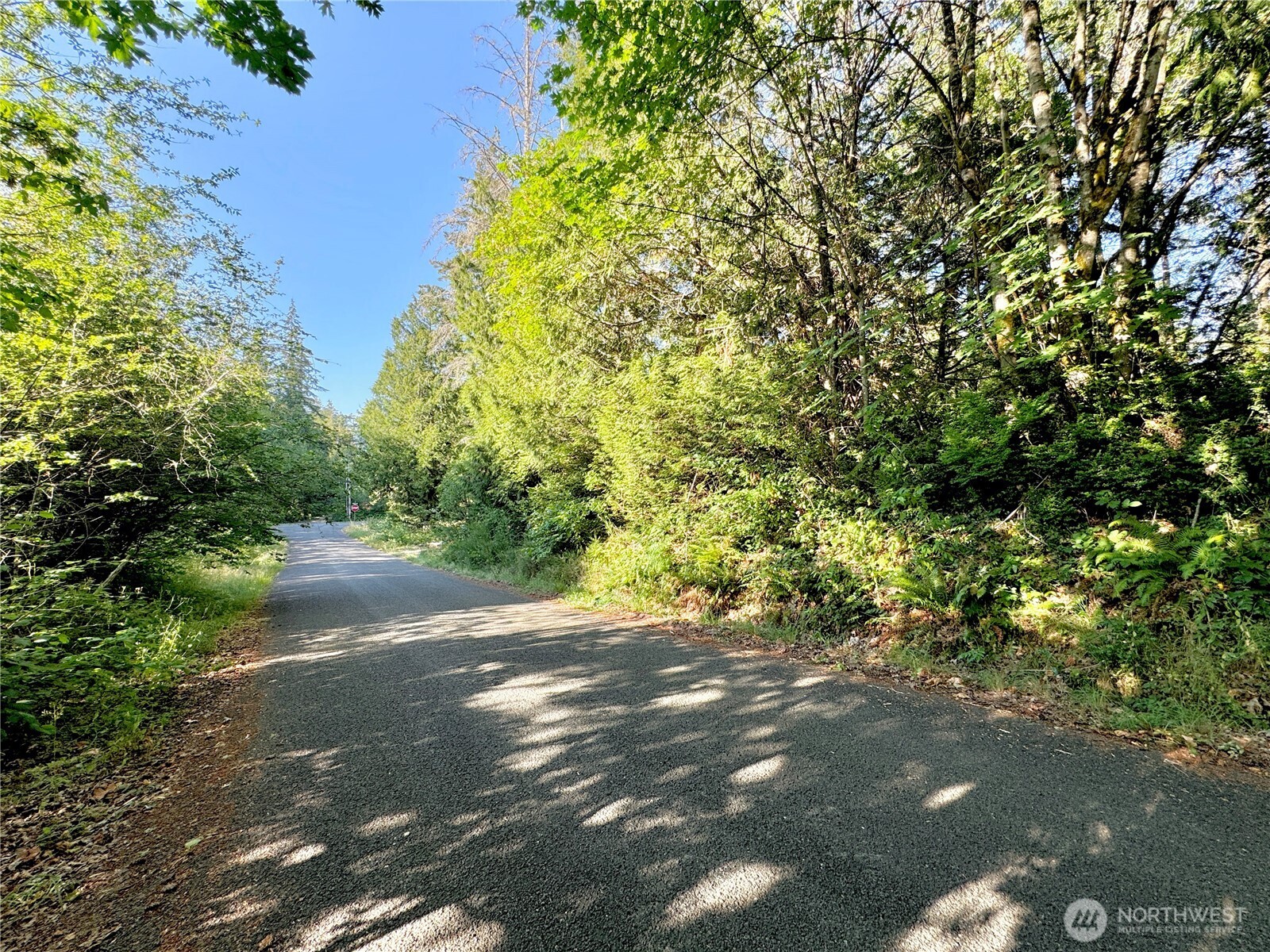 5563 Lackey Court Property Photo 19
