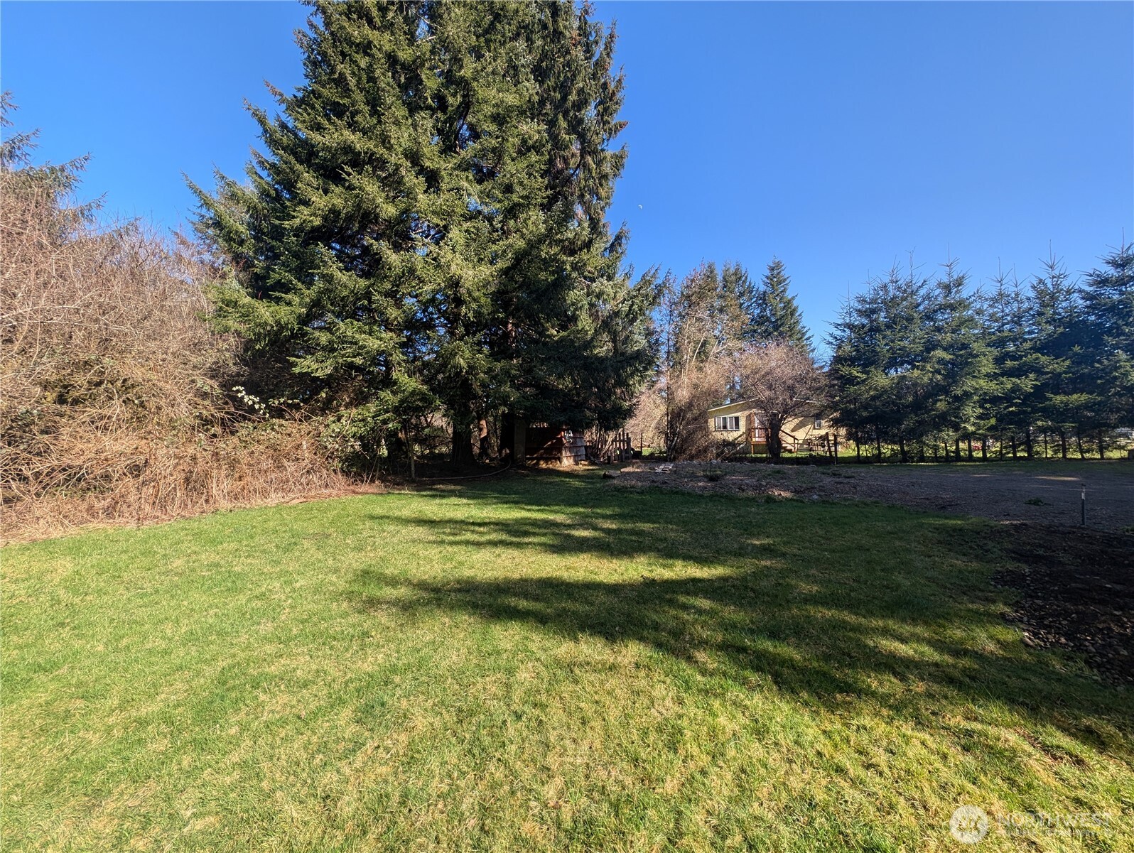 1141 Hoh Avenue Property Photo 7