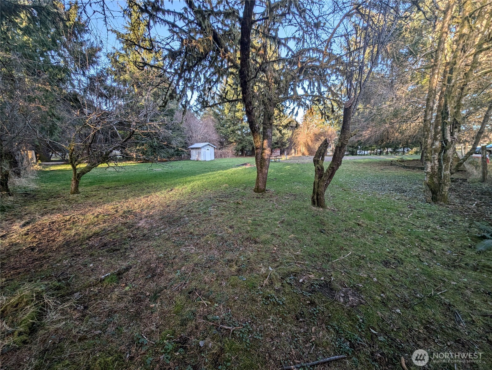 1141 Hoh Avenue Property Photo 25