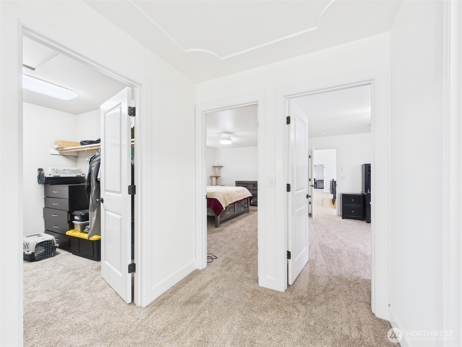 13812 Vue Street Property Photo 24