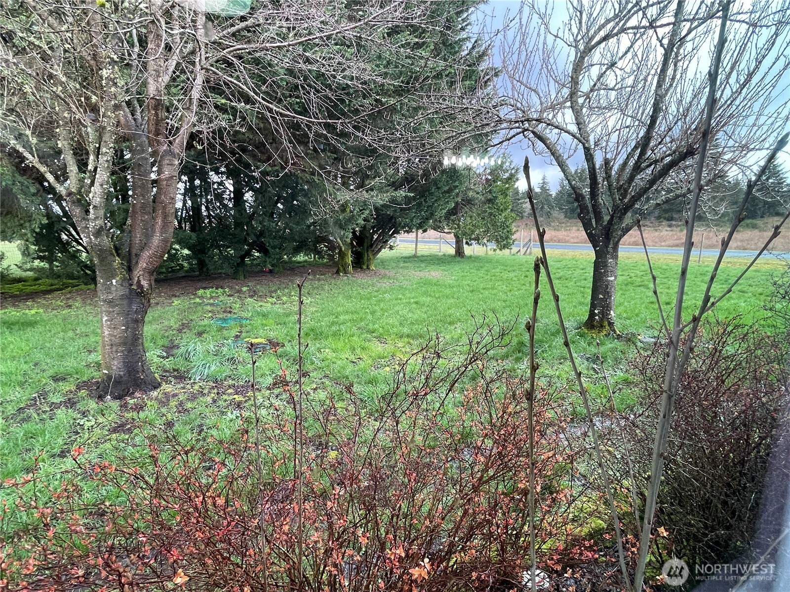 13812 Vue Street Property Photo 31