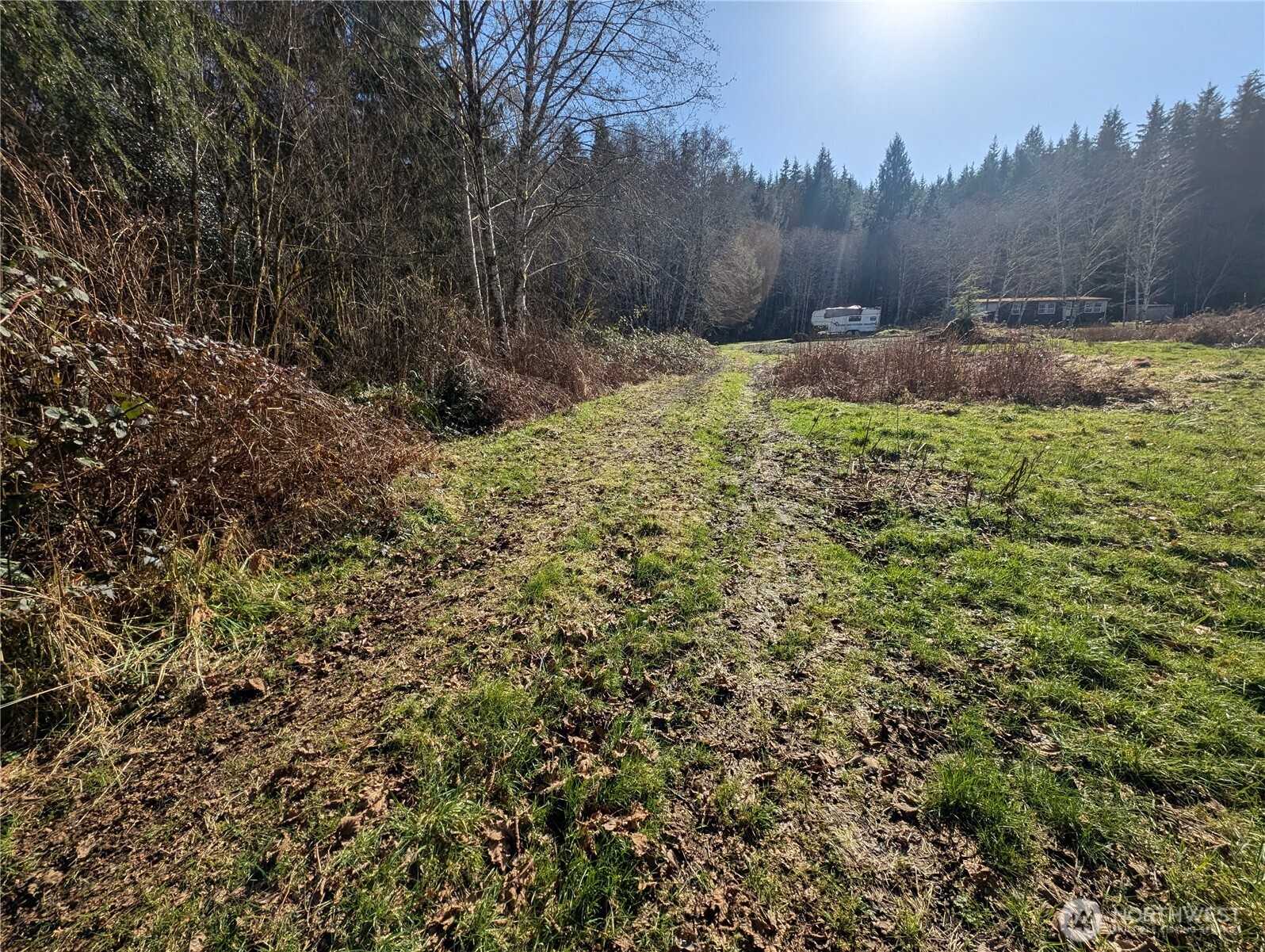 215 Elk Creek Ridge Road Property Photo 4