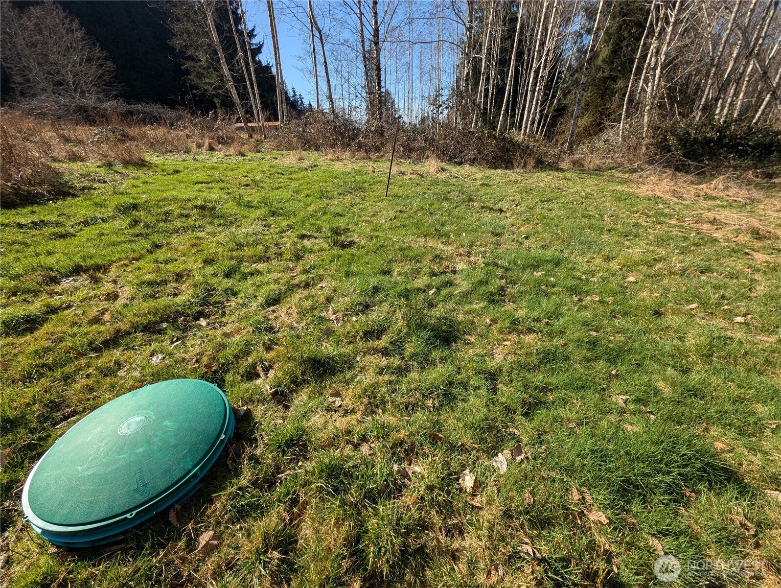 215 Elk Creek Ridge Road Property Photo 6