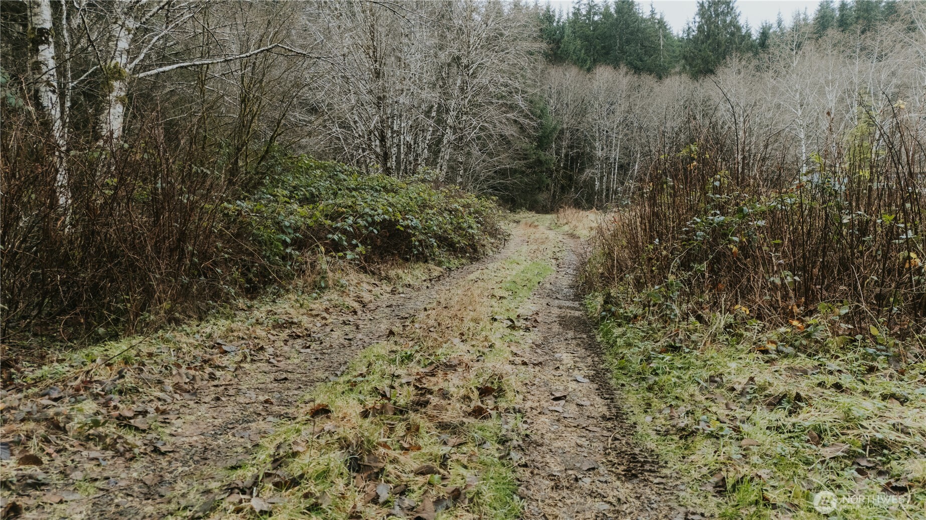 215 Elk Creek Ridge Road Property Photo 7