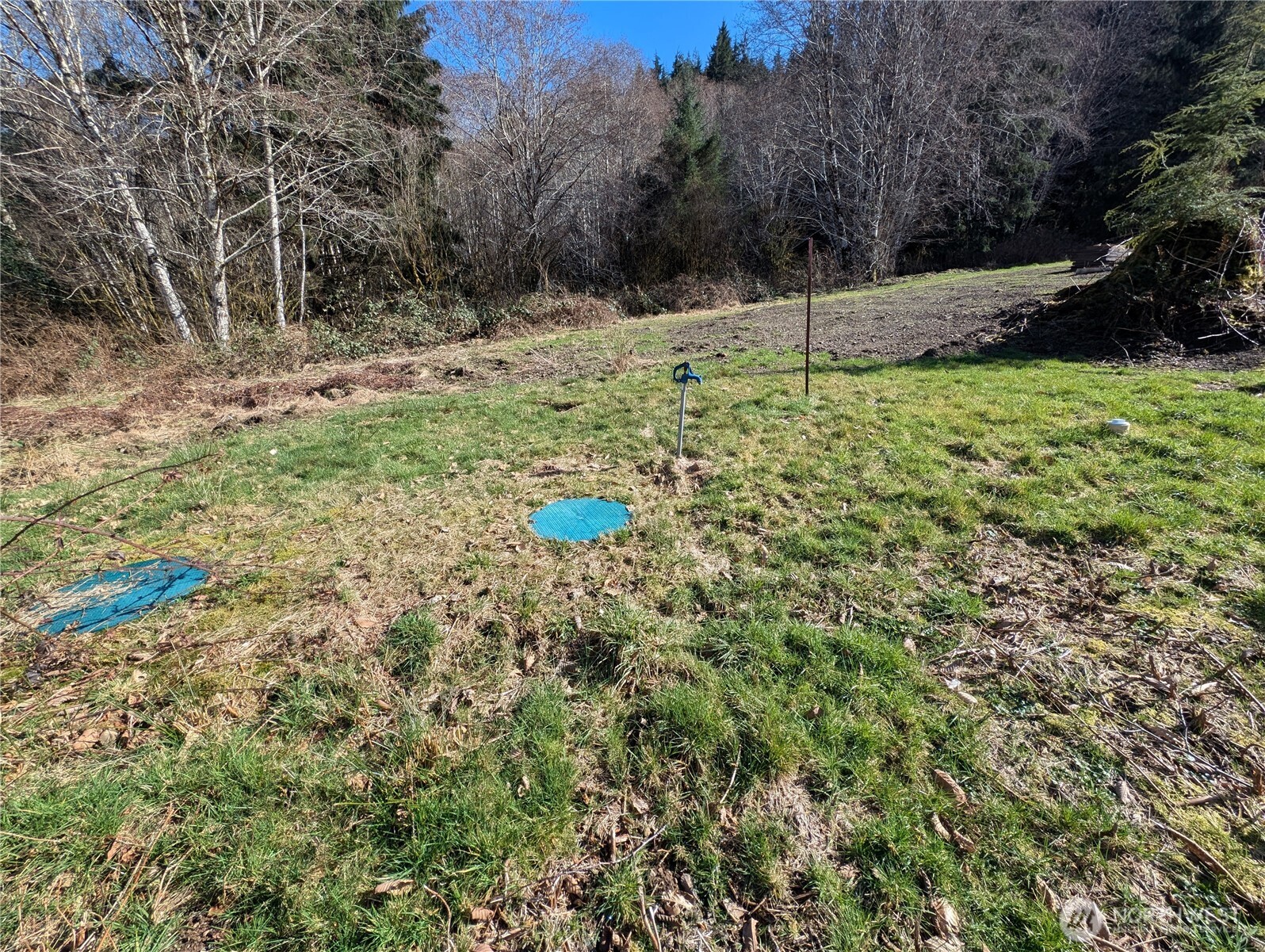 215 Elk Creek Ridge Road Property Photo 8