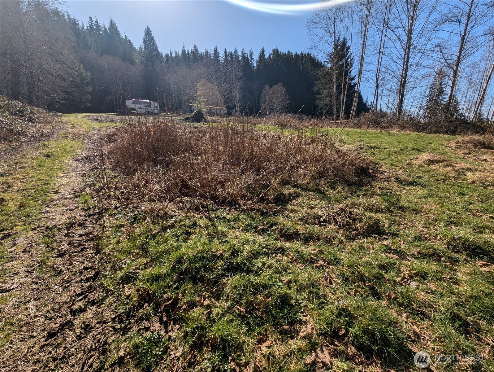 215 Elk Creek Ridge Road Property Photo 12