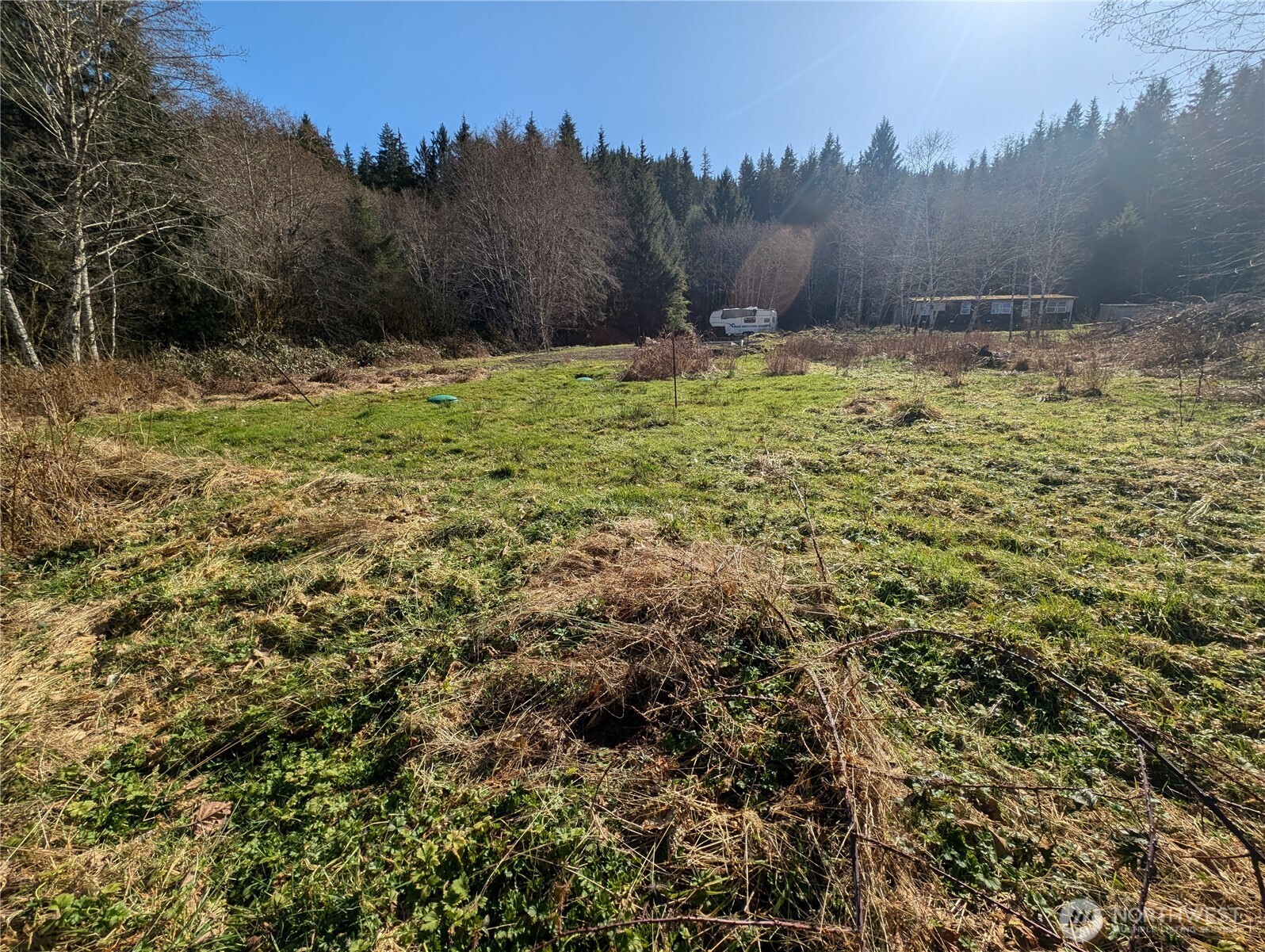 215 Elk Creek Ridge Road Property Photo 13