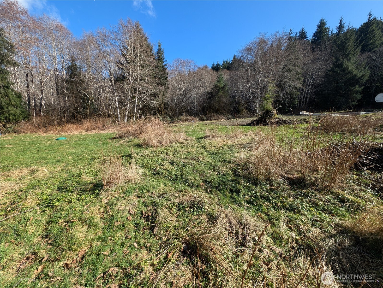 215 Elk Creek Ridge Road Property Photo 15