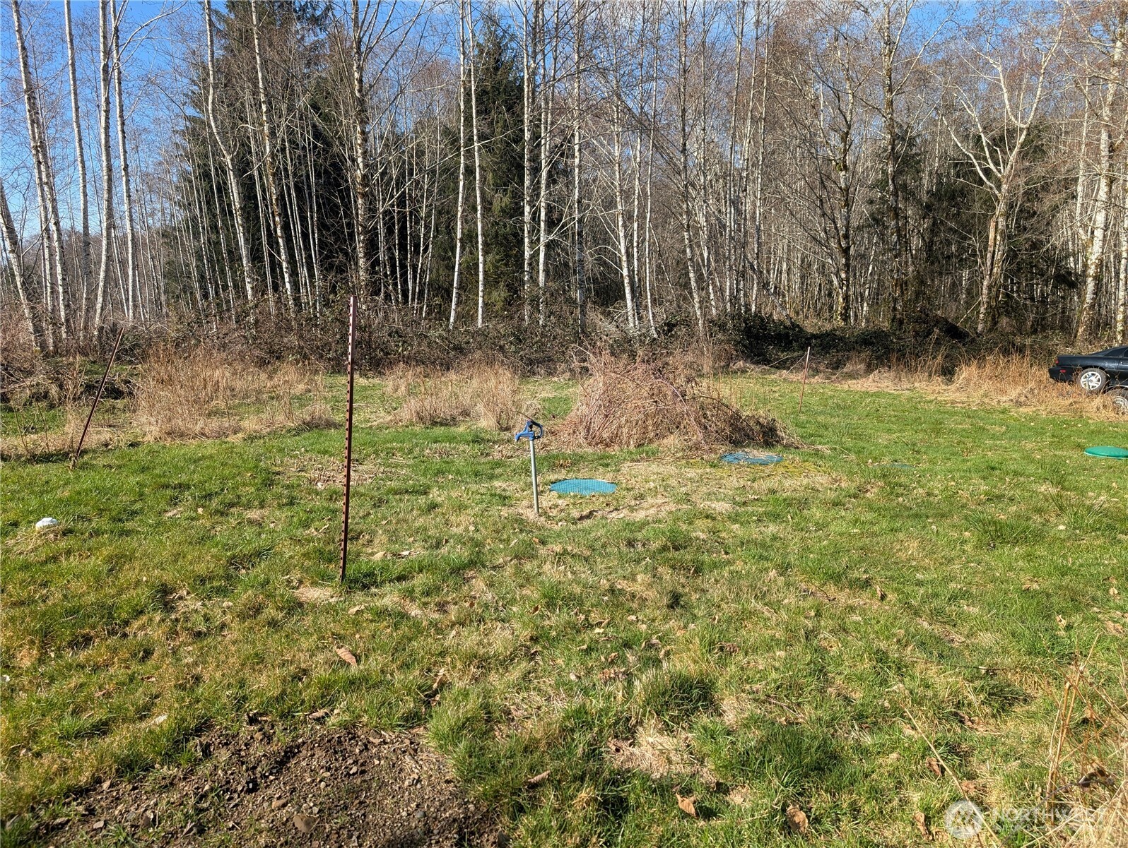215 Elk Creek Ridge Road Property Photo 16
