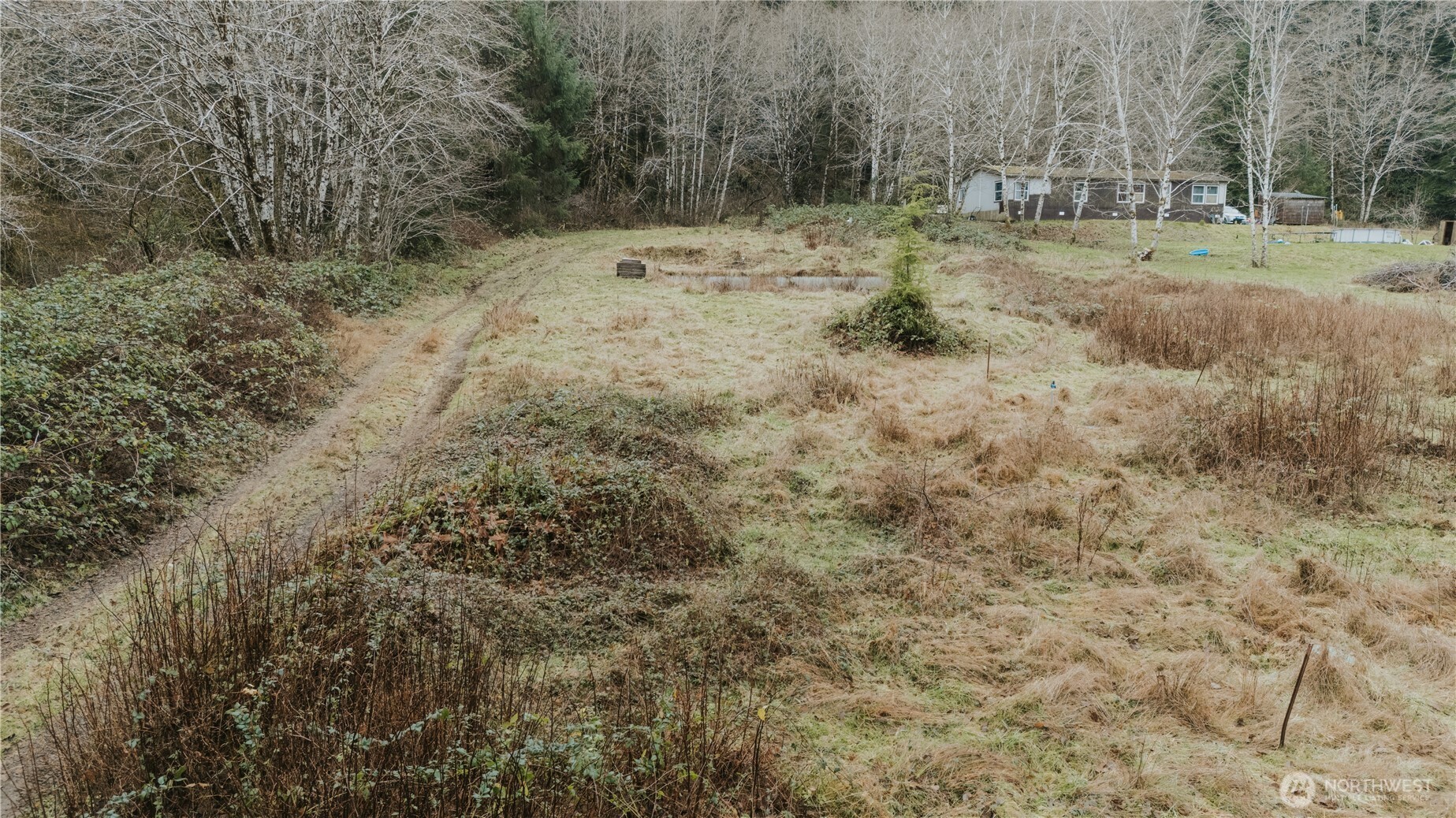 215 Elk Creek Ridge Road Property Photo 17