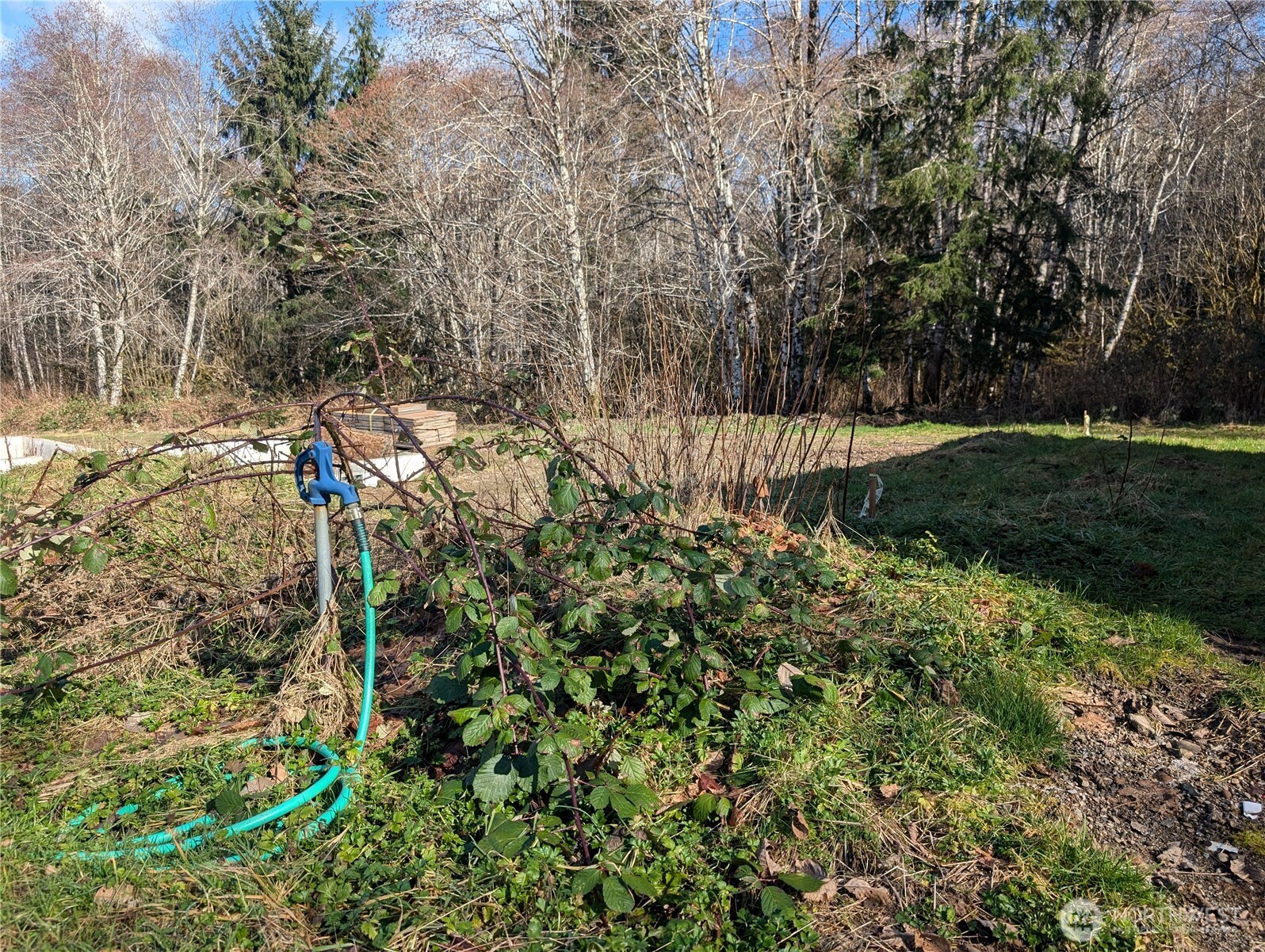 215 Elk Creek Ridge Road Property Photo 22