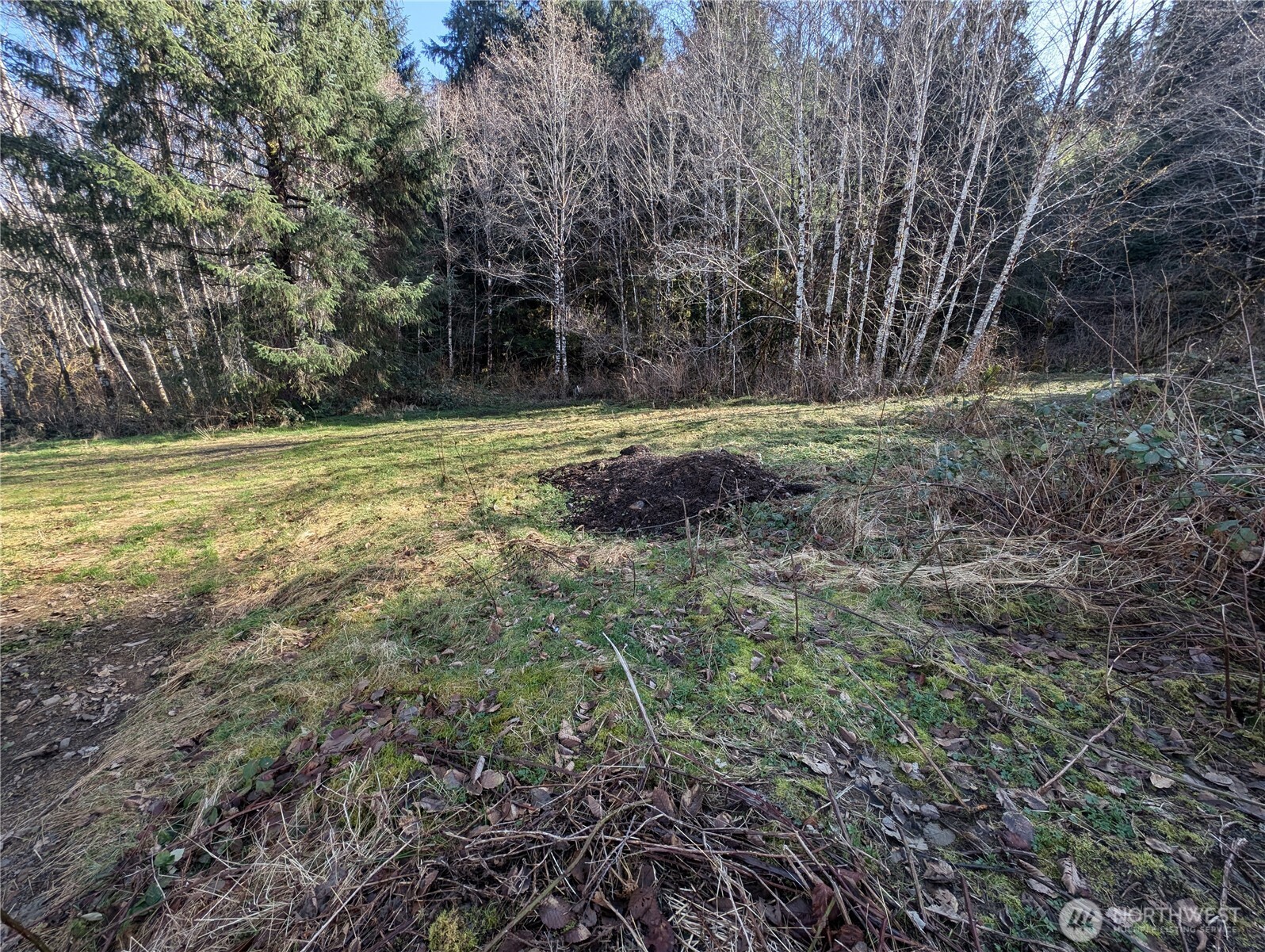 215 Elk Creek Ridge Road Property Photo 27