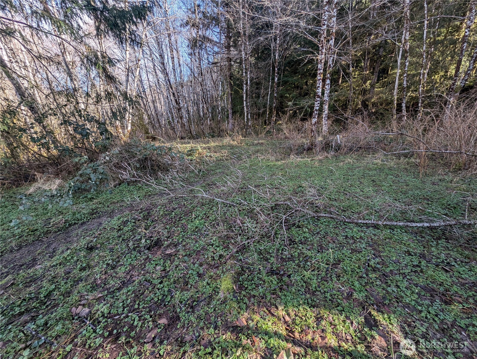 215 Elk Creek Ridge Road Property Photo 34