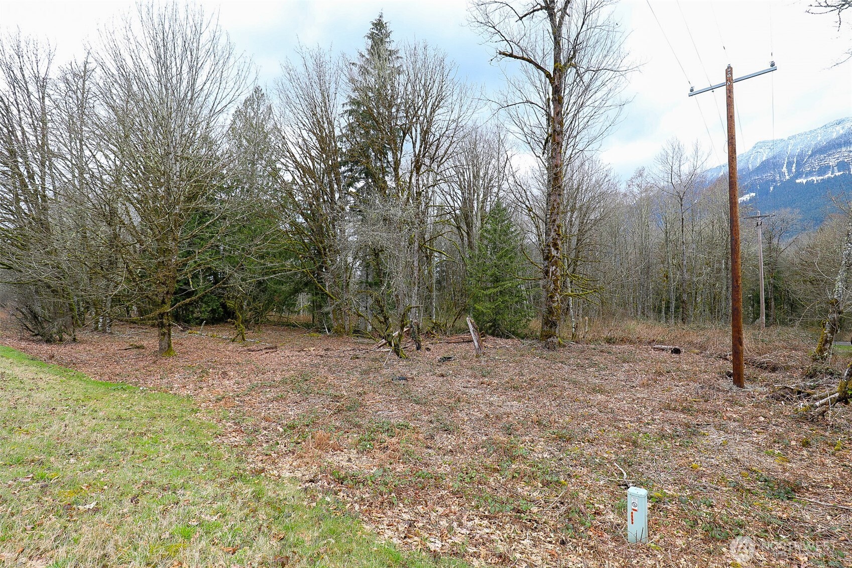 31101 Boulder Creek Drive Property Photo 1