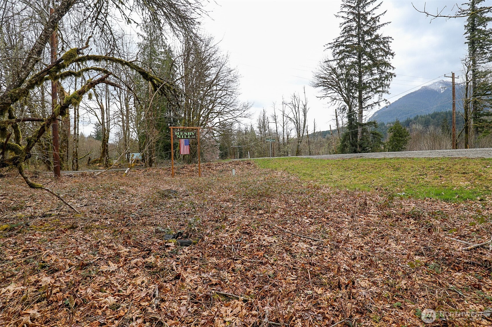 31101 Boulder Creek Drive Property Photo 3
