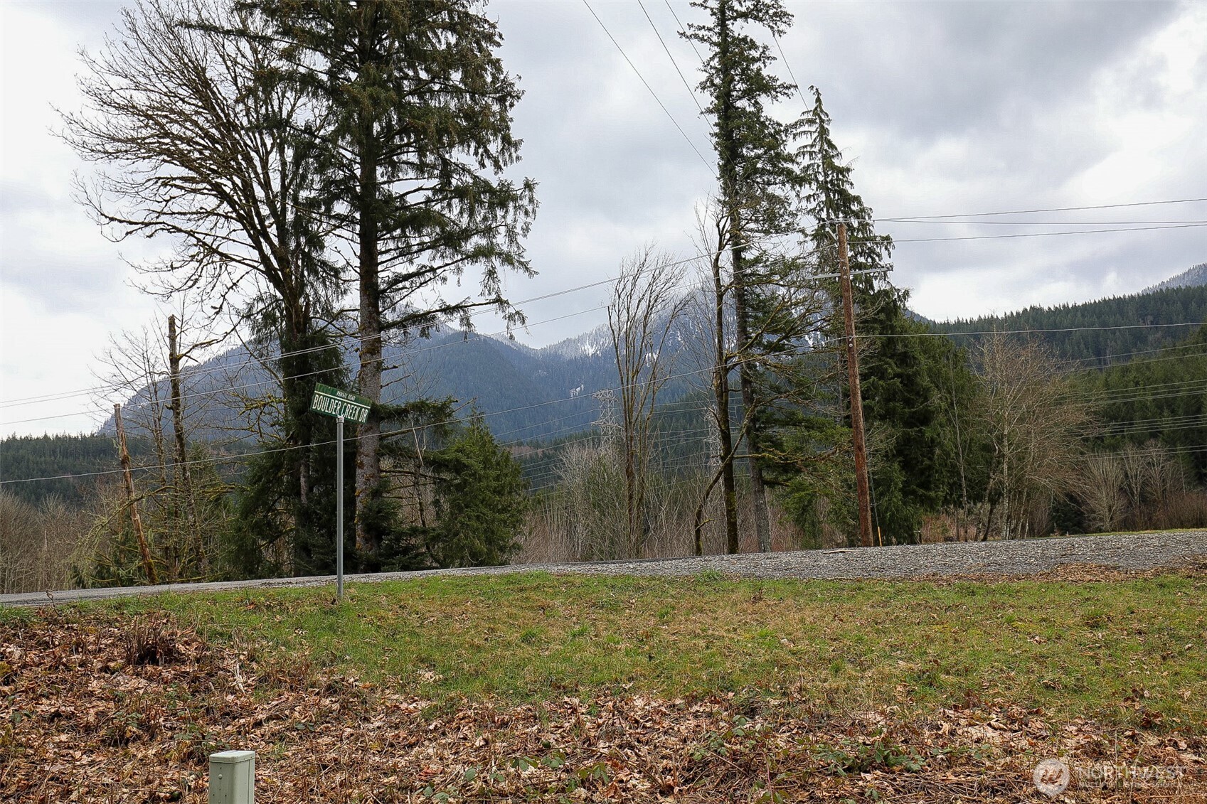 31101 Boulder Creek Drive Property Photo 6