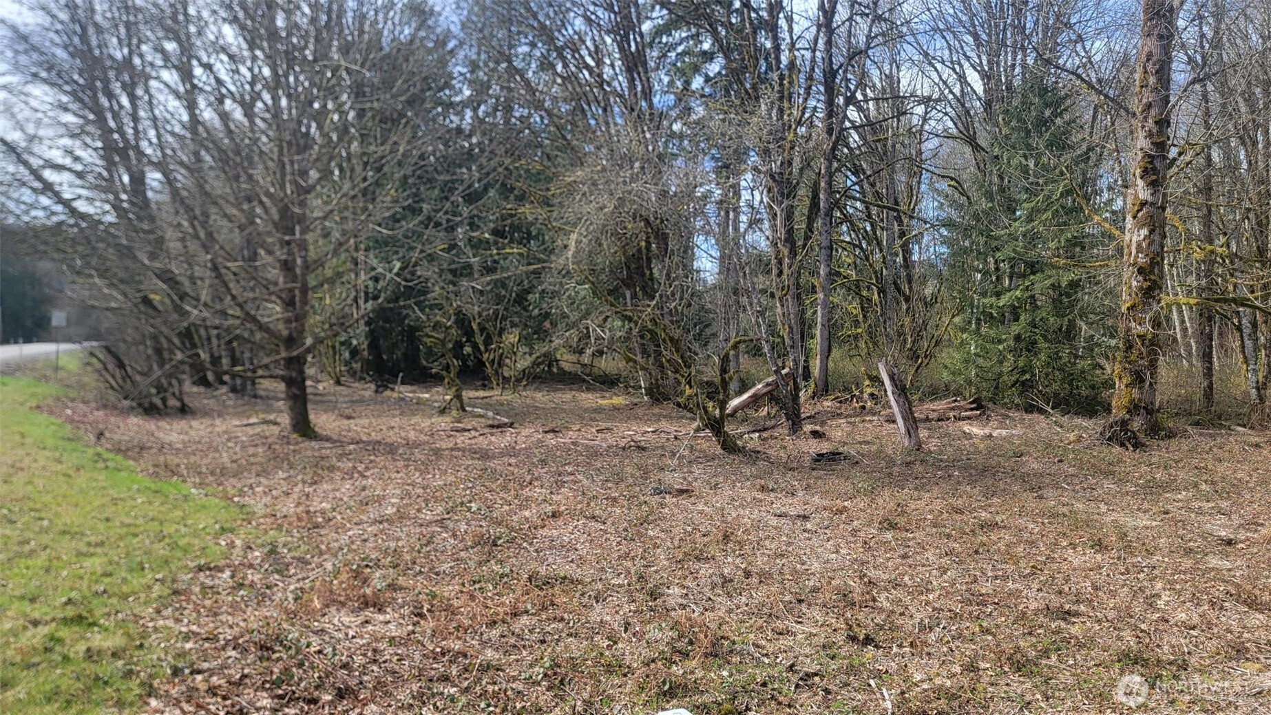 31101 Boulder Creek Drive Property Photo 12