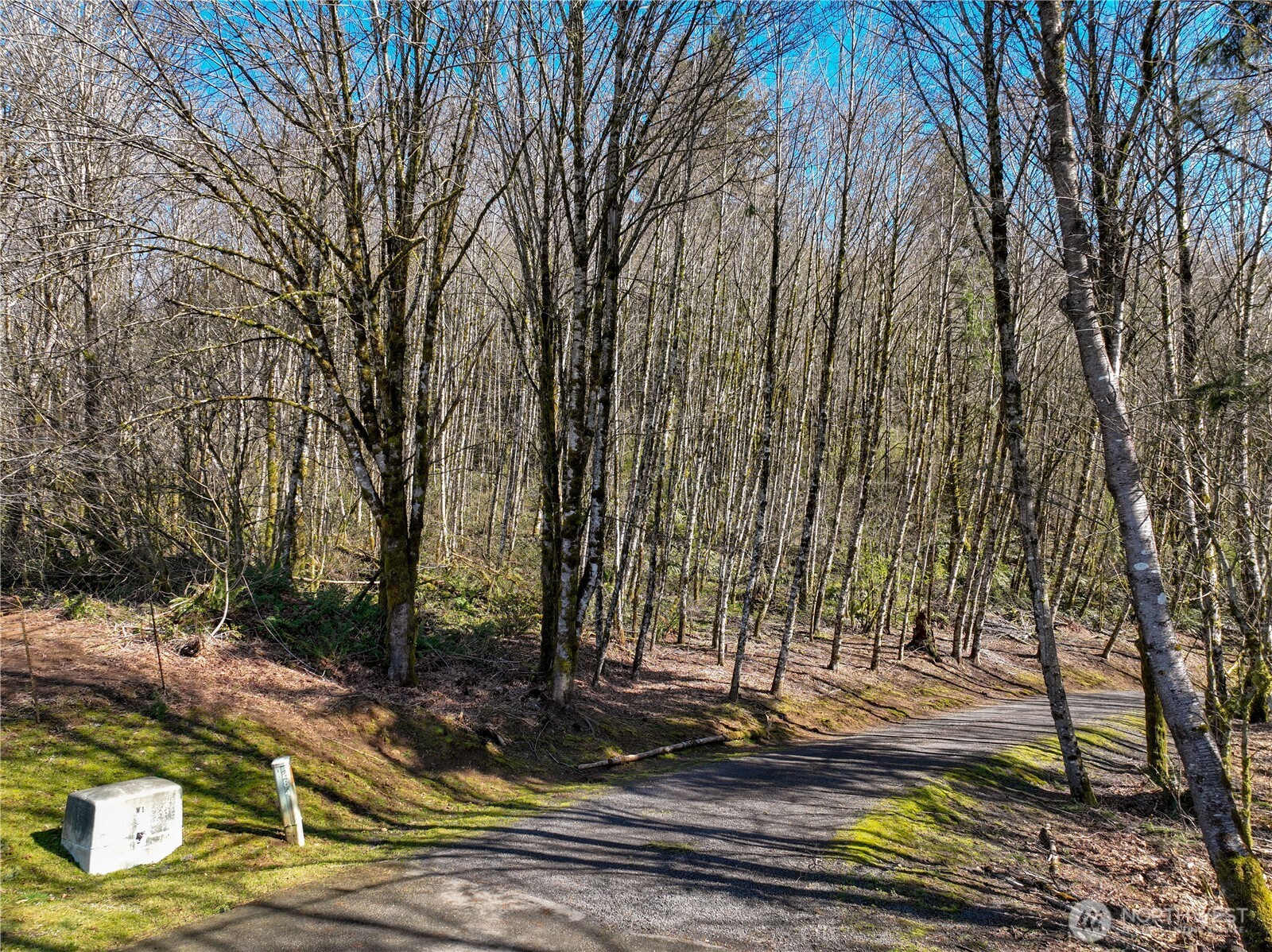 254 Windy Ridge Drive Property Photo