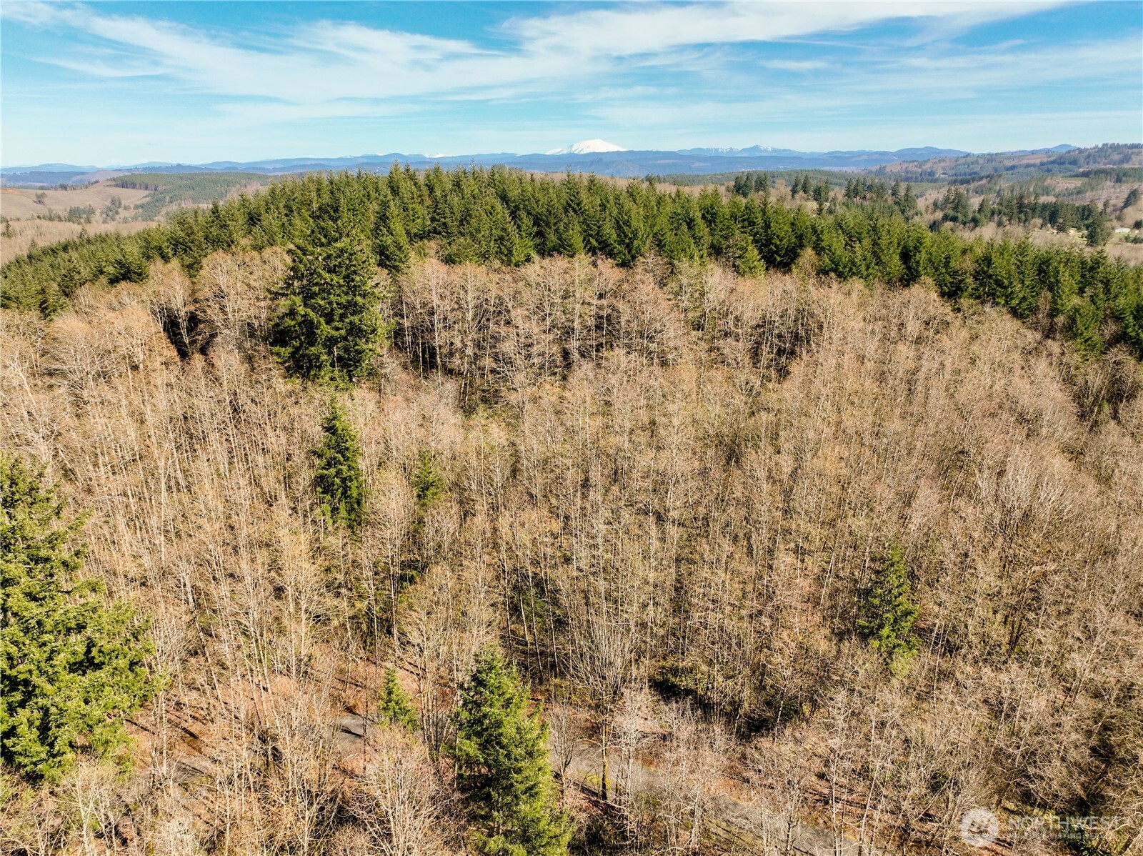 254 Windy Ridge Drive Property Photo 4
