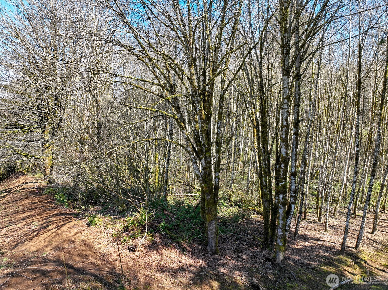 254 Windy Ridge Drive Property Photo 8