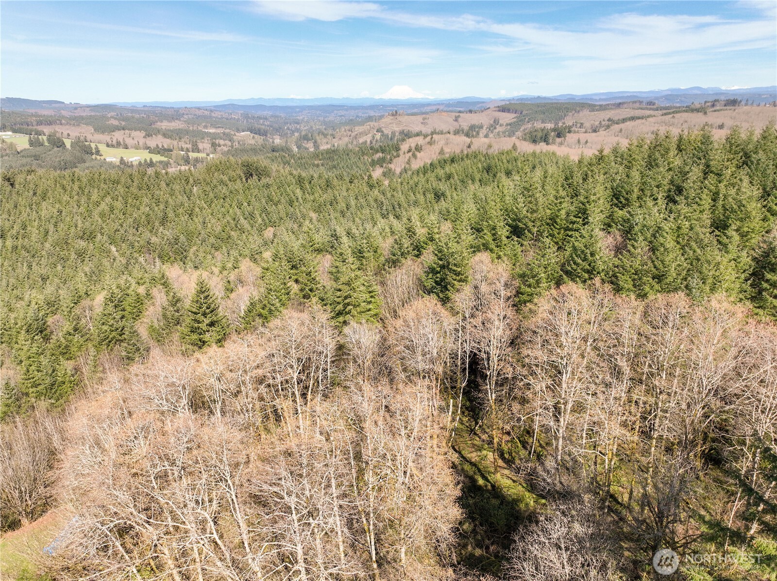 254 Windy Ridge Drive Property Photo 13