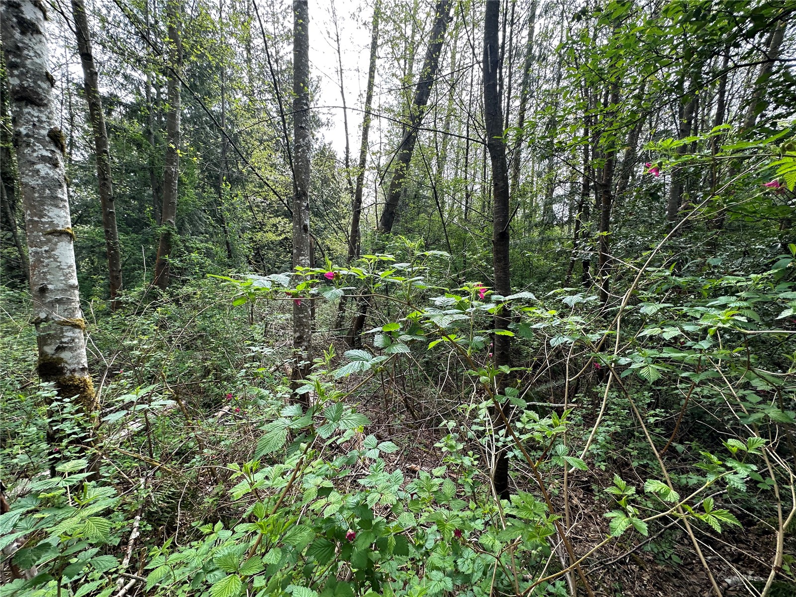 0 Nw Anderson Hill Road Property Photo 12