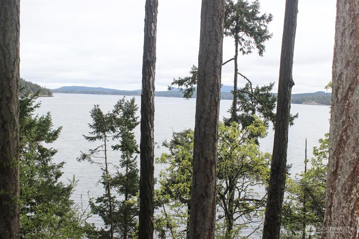 23 Brown Island Property Photo 34