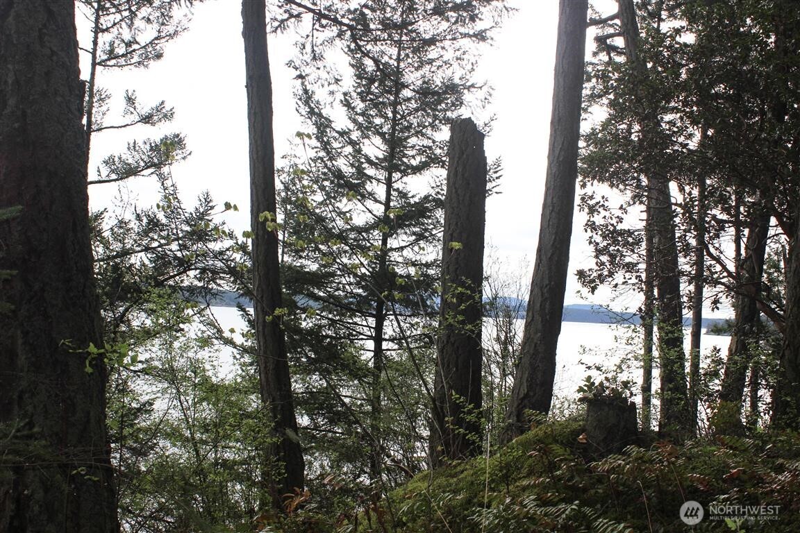 23 Brown Island Property Photo 35