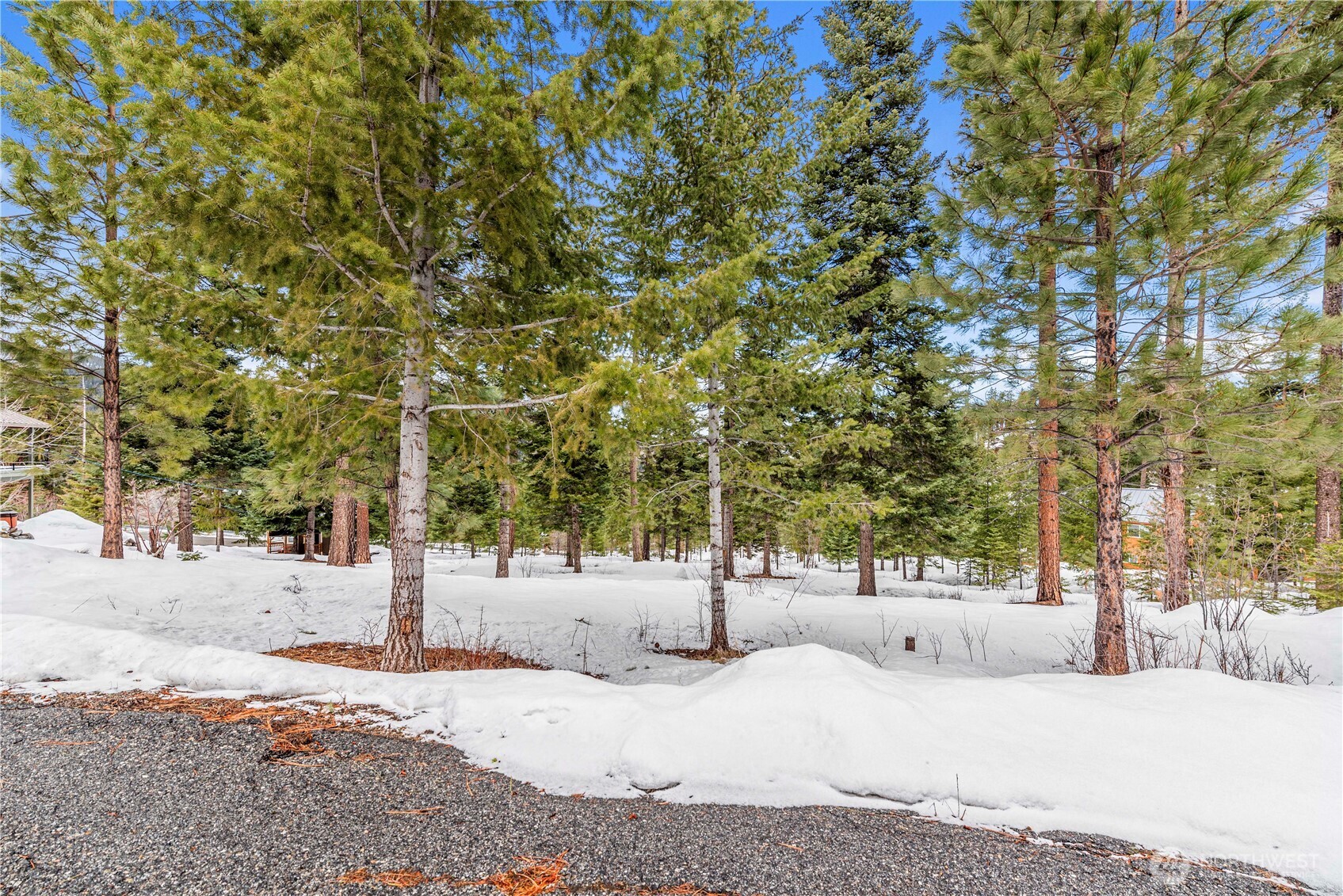 6757 Forest Ridge Drive Property Photo 1