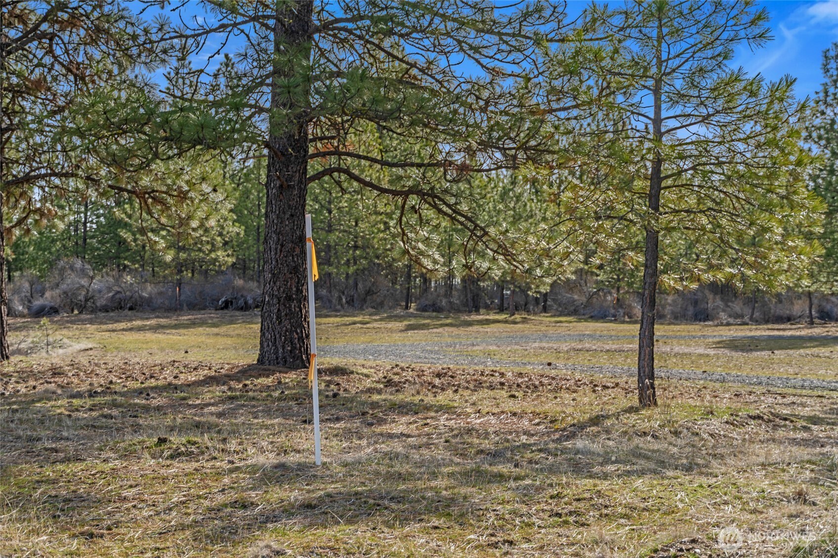 38800 E Sand Flats Property Photo 14