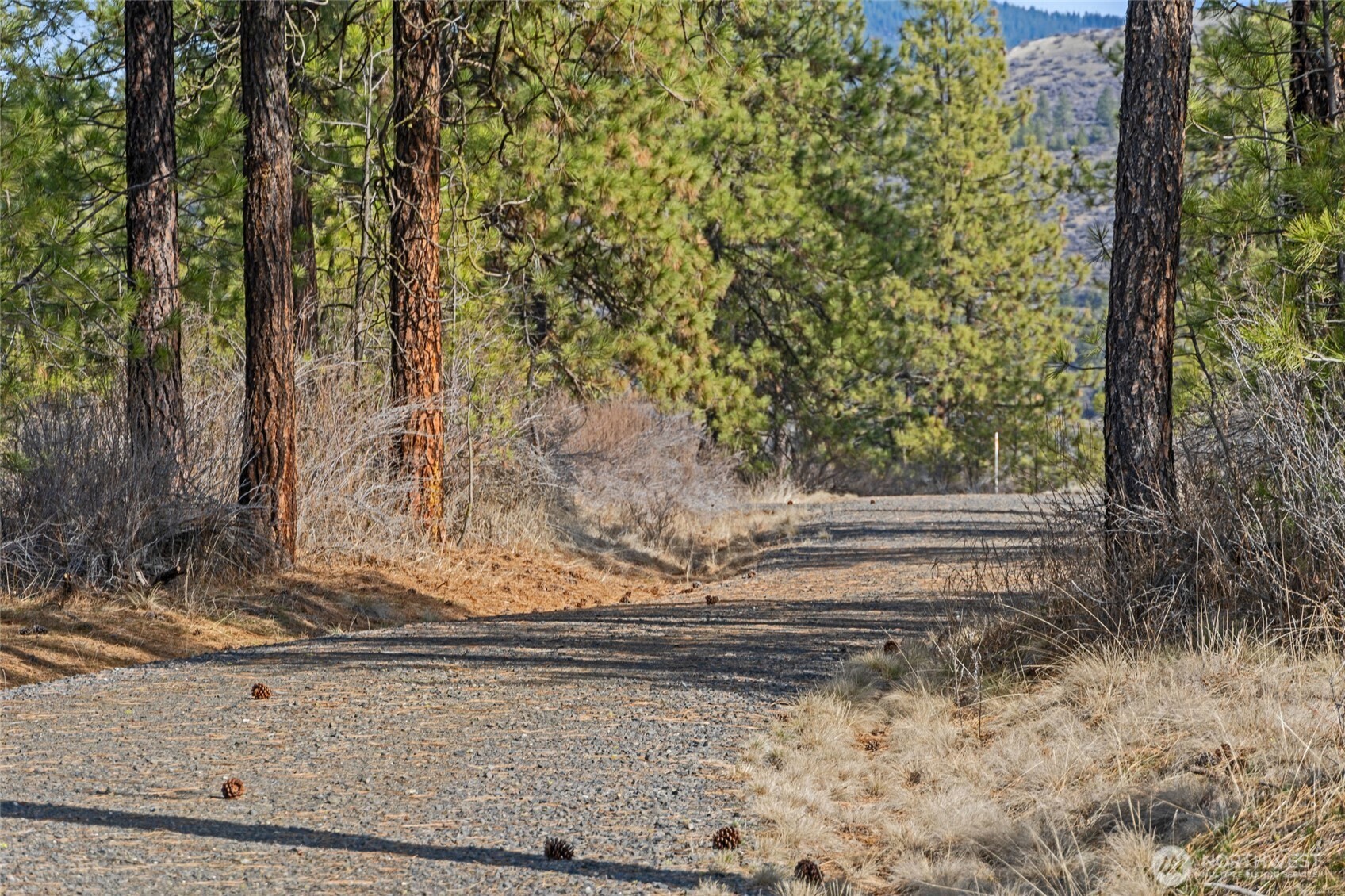 38800 E Sand Flats Property Photo 16