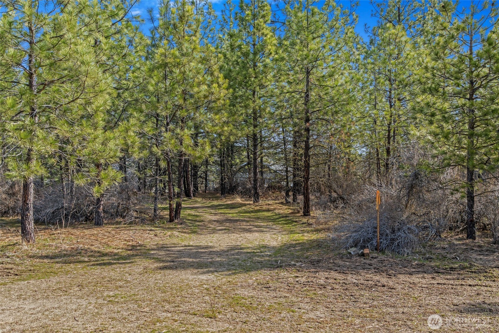 38800 E Sand Flats Property Photo 17