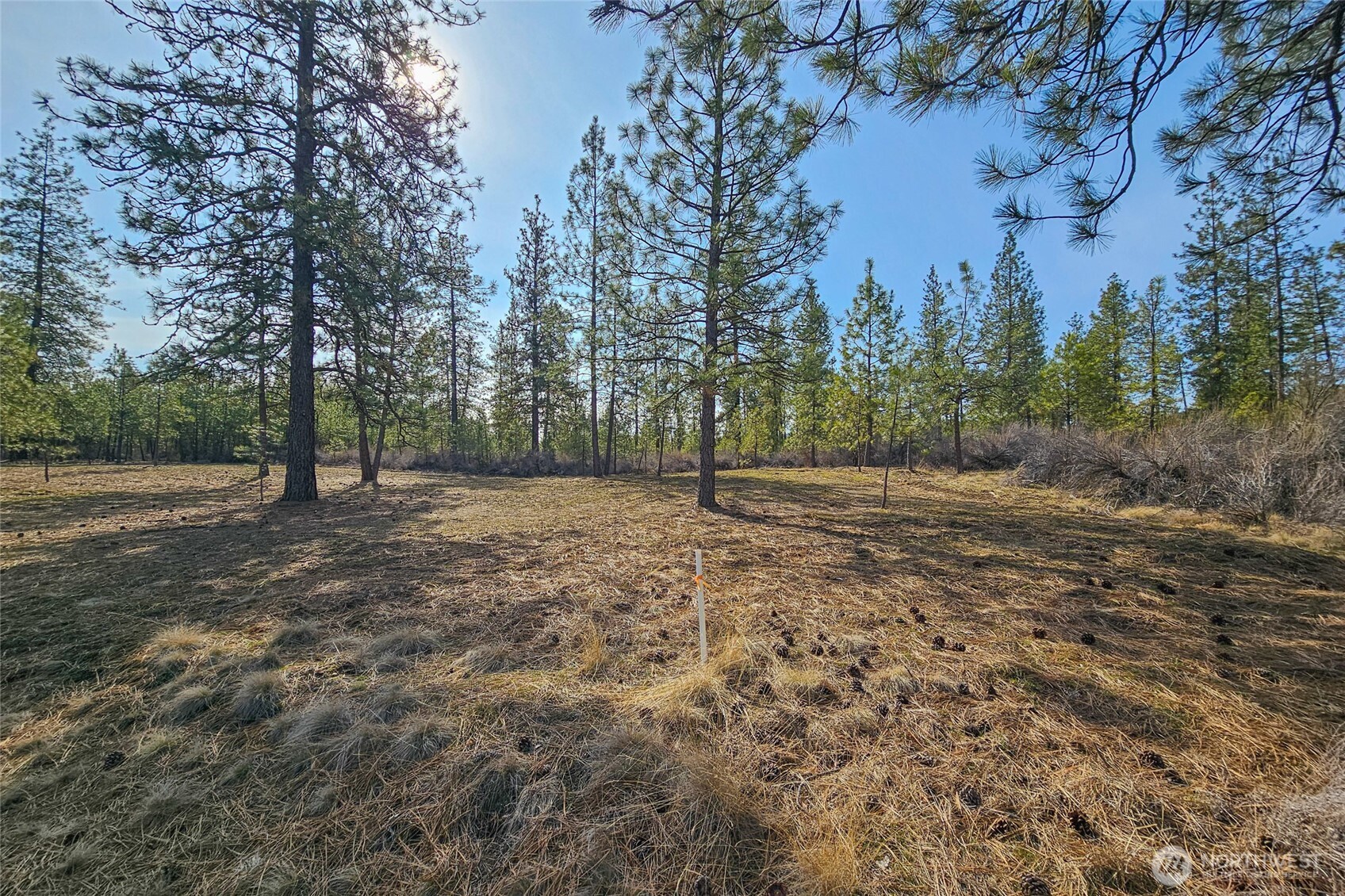 38800 E Sand Flats Property Photo 18