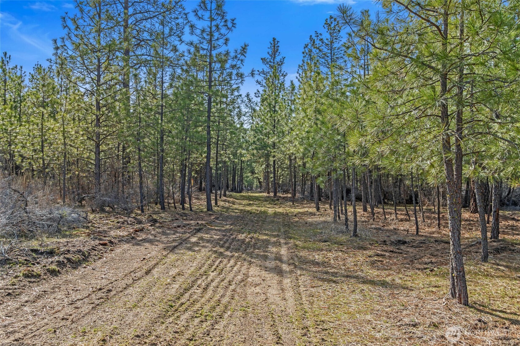 38800 E Sand Flats Property Photo 19