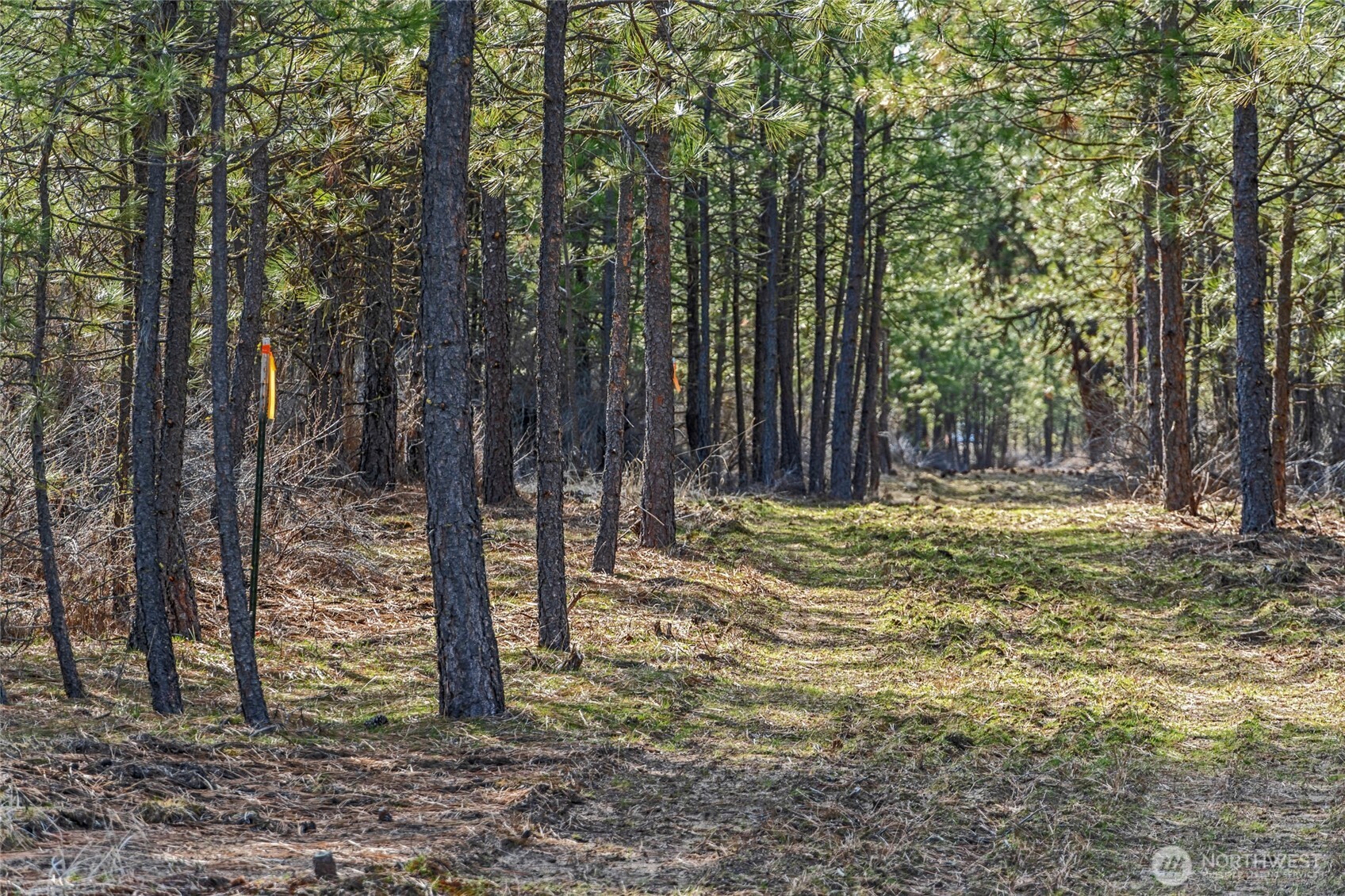 38800 E Sand Flats Property Photo 20