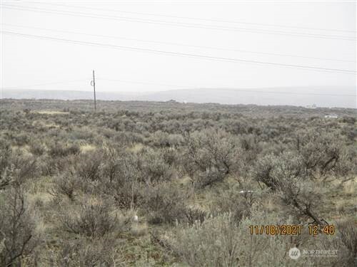 0 Lot 8 Snaffle Court Property Photo 1