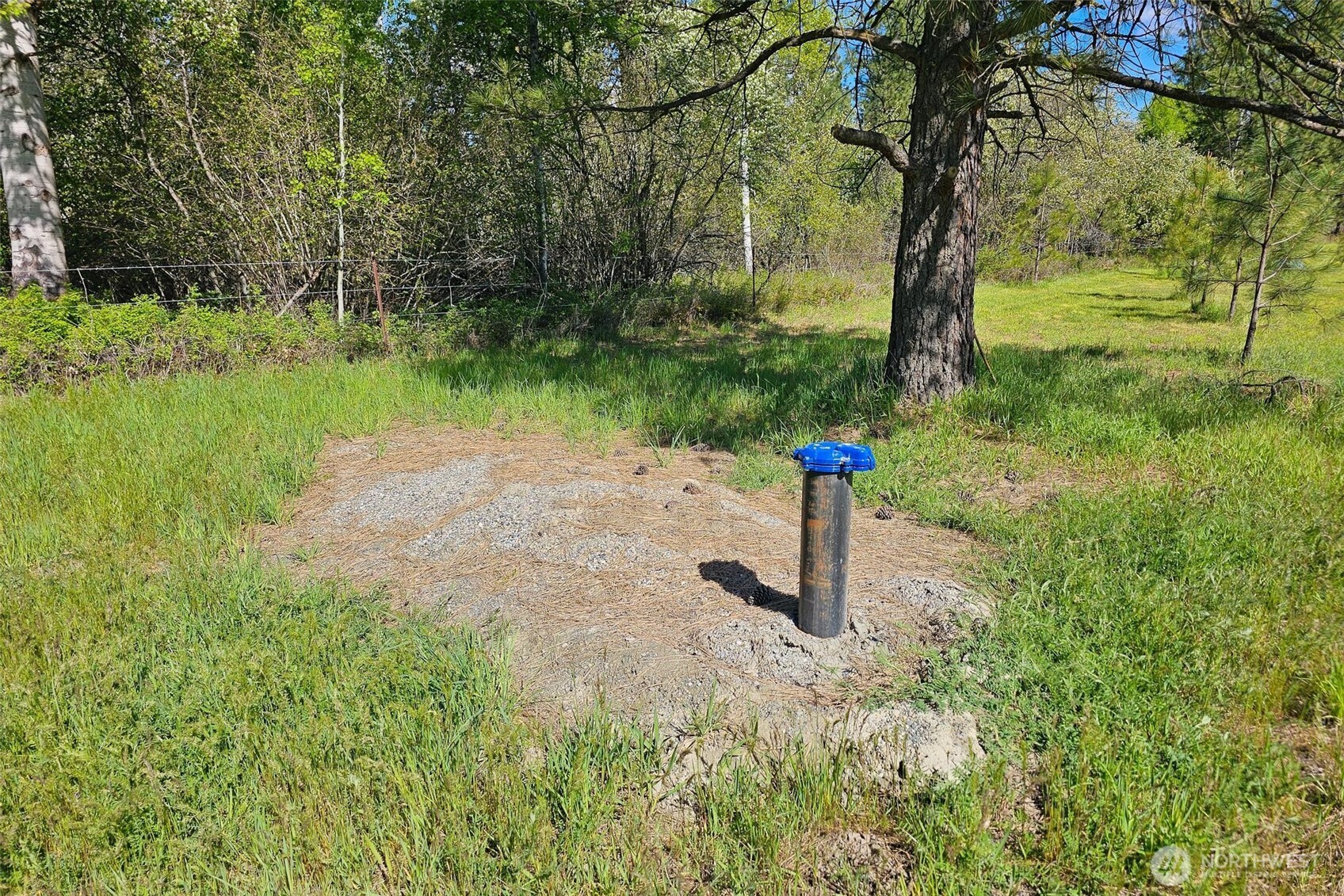 3321 Hwy 25 Property Photo 5