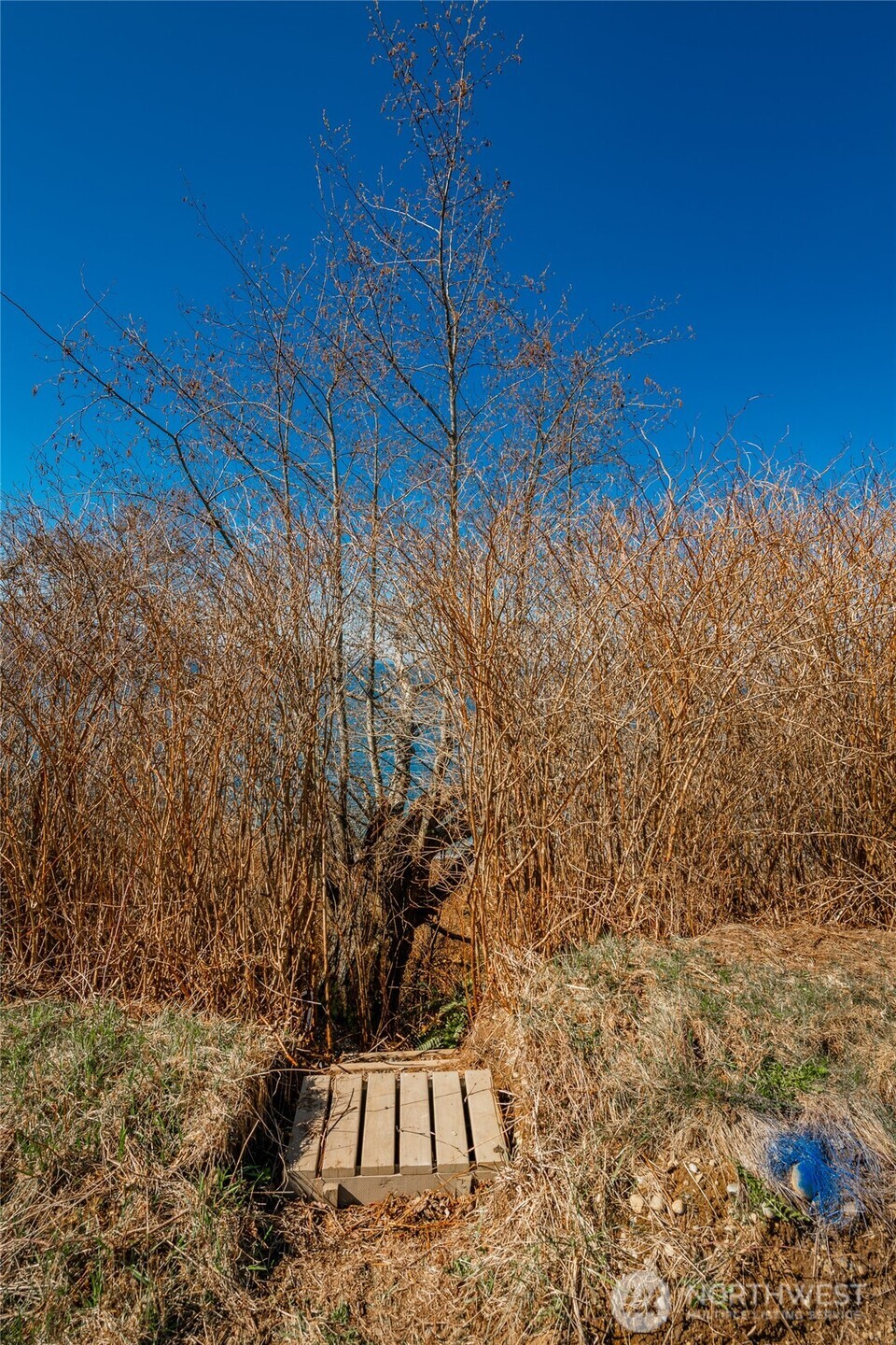 0 West Shore Drive Property Photo 9