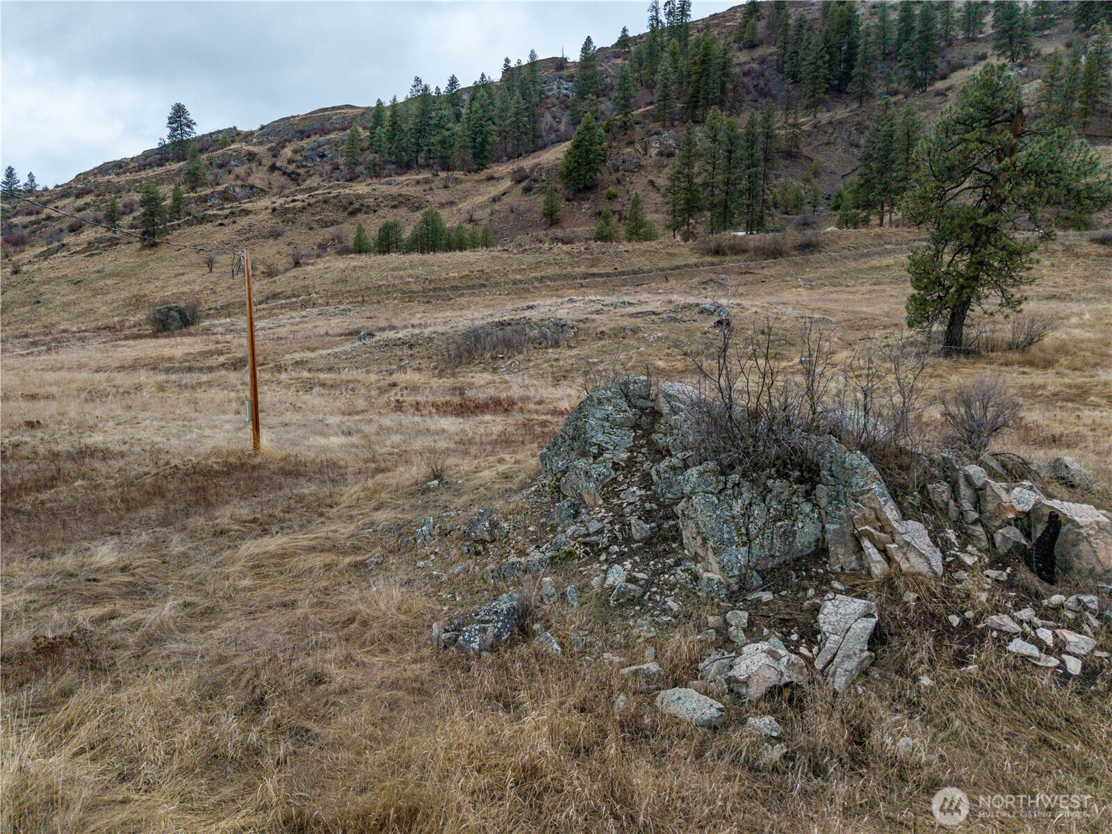18277 Hwy 21 Property Photo